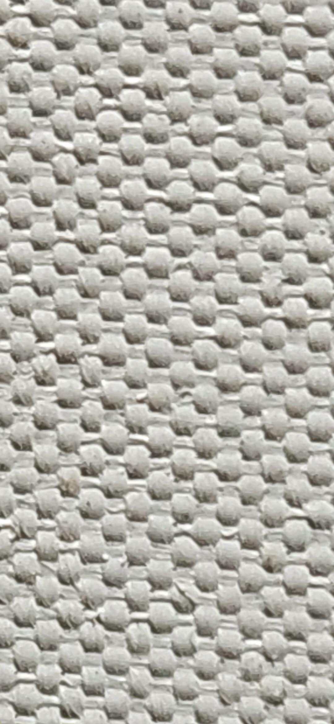 1000021282