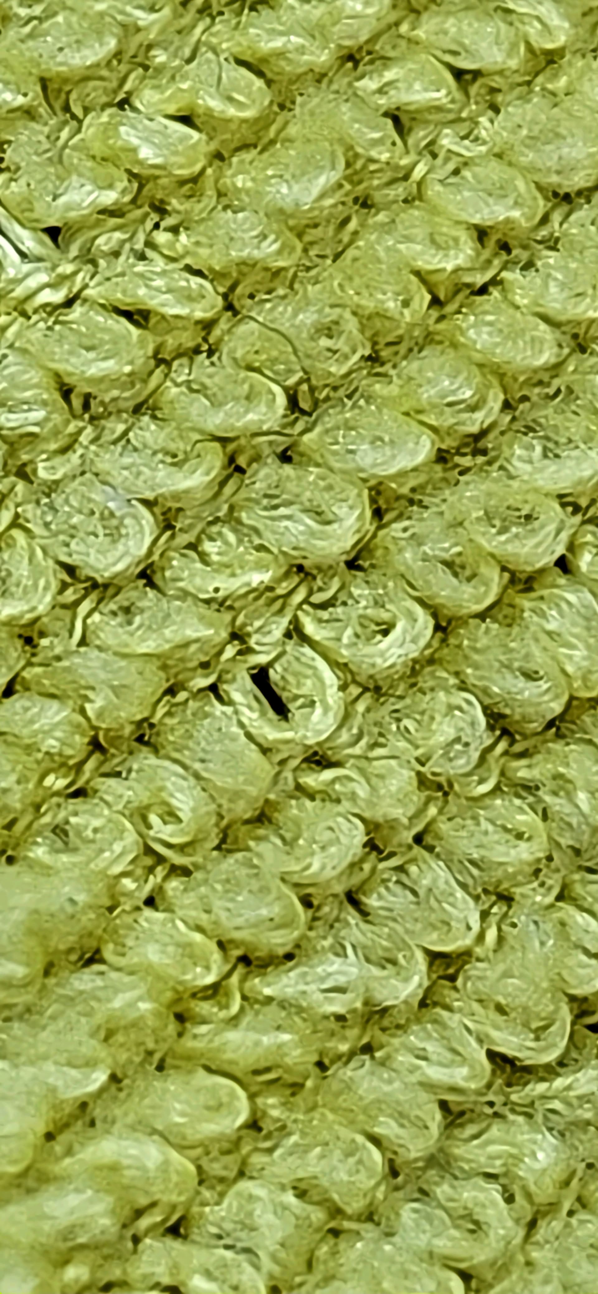 1000021498