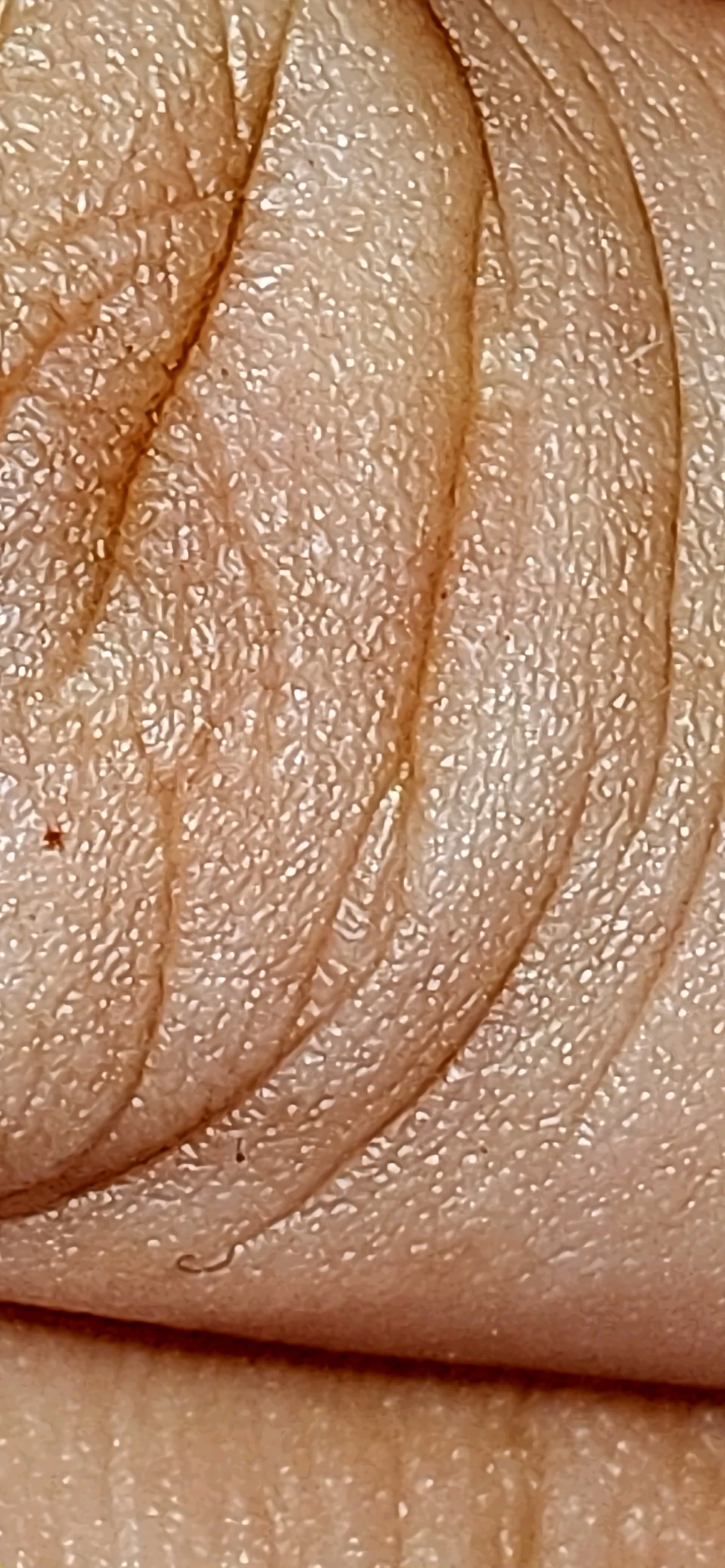 1000023507