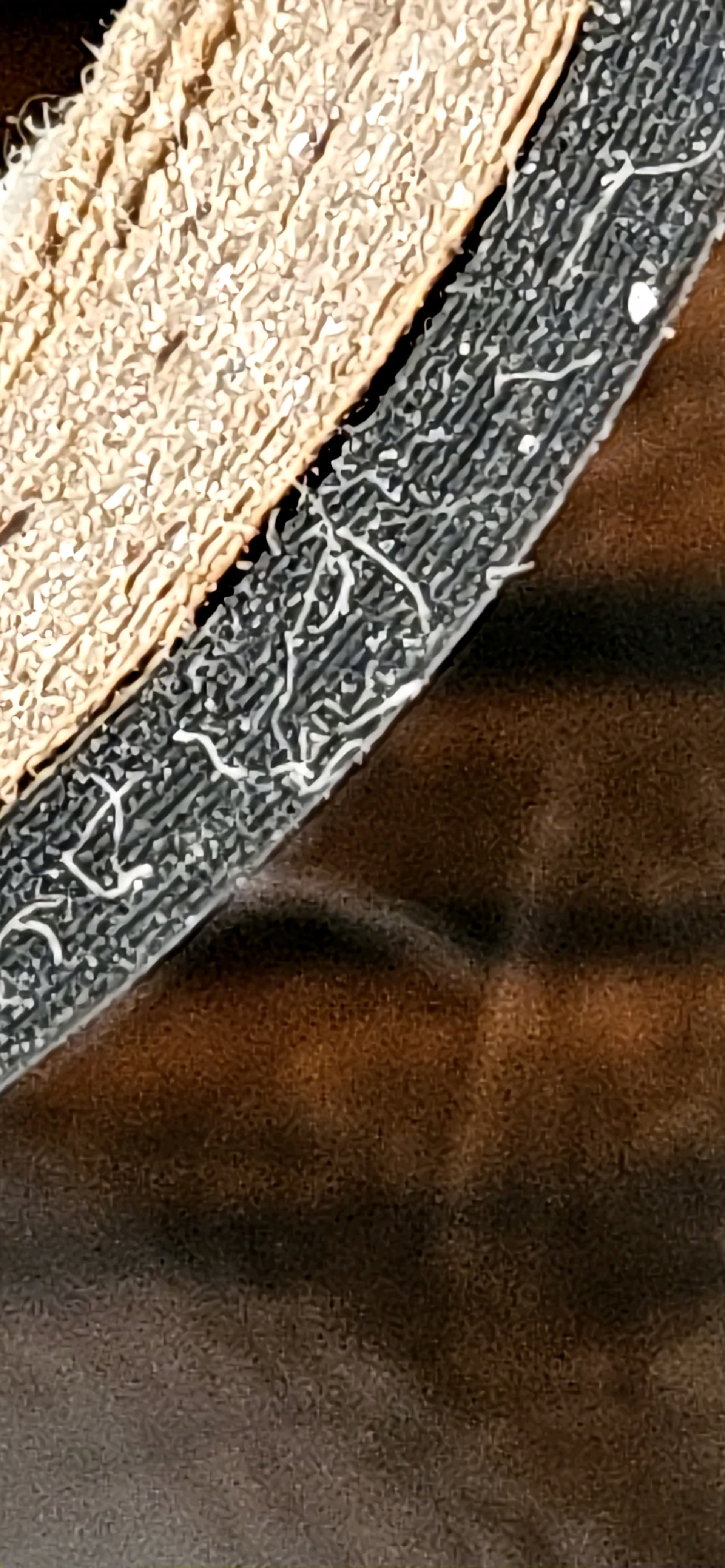 1000024070