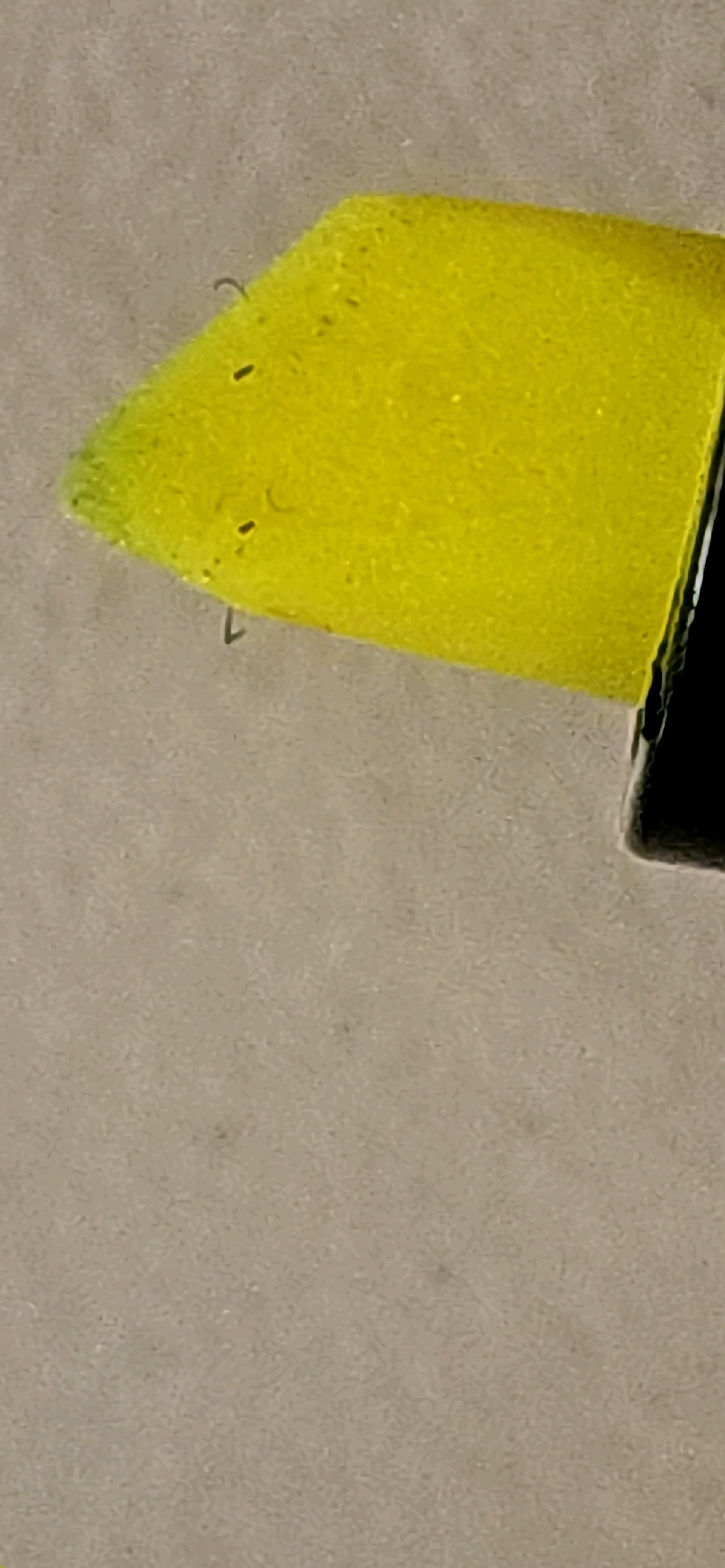 1000024073