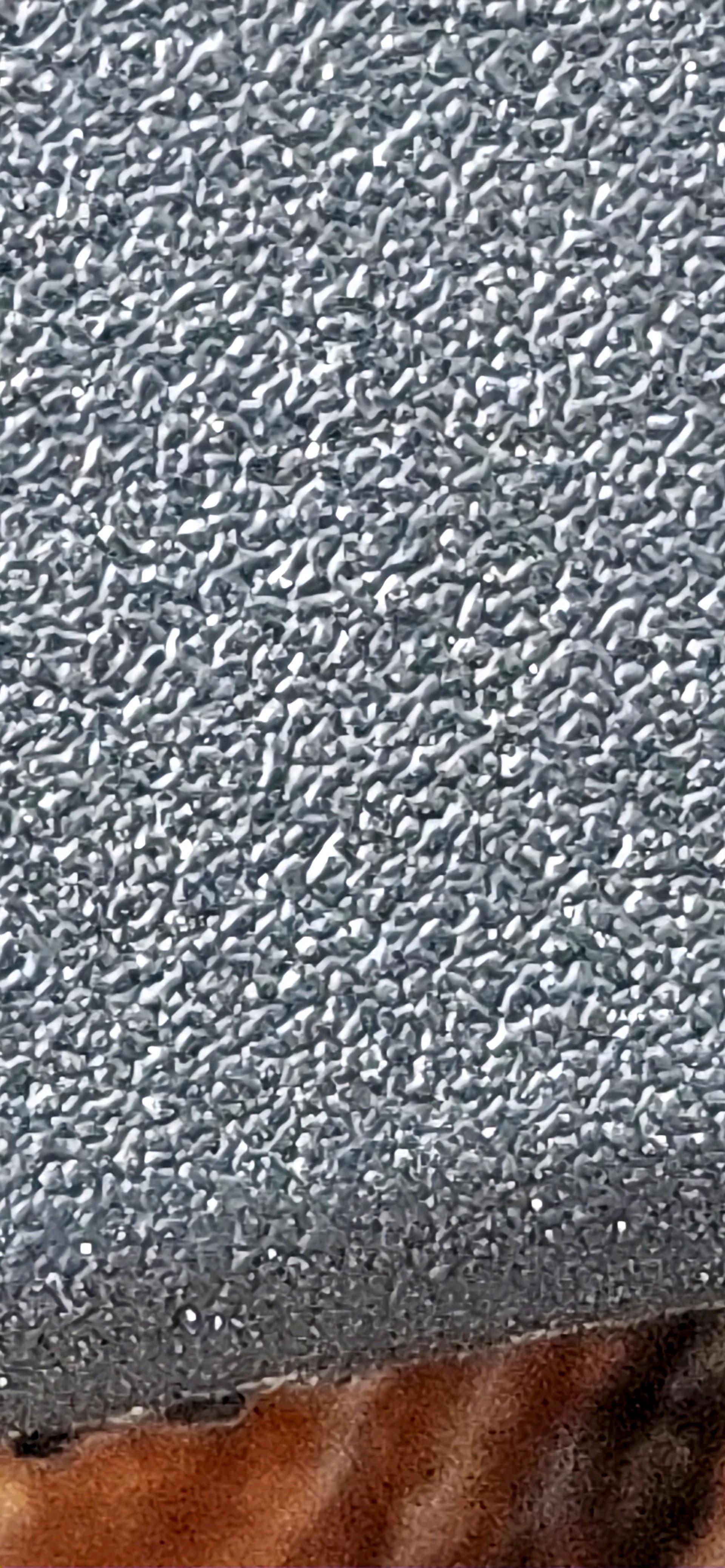 1000024483