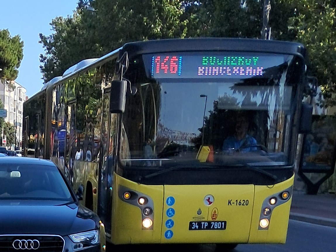1000026528.jpg