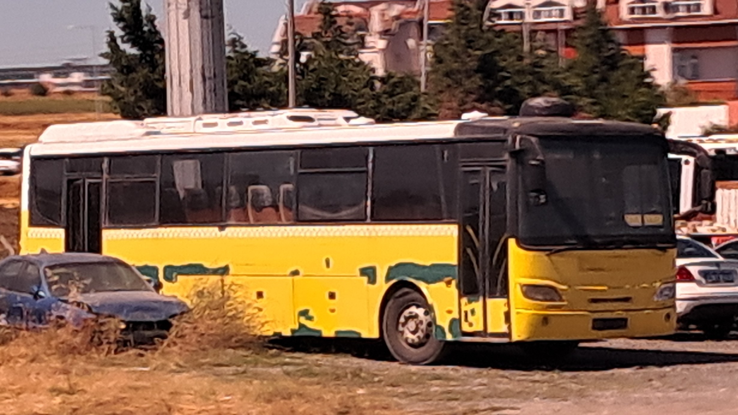 1000026762.jpg