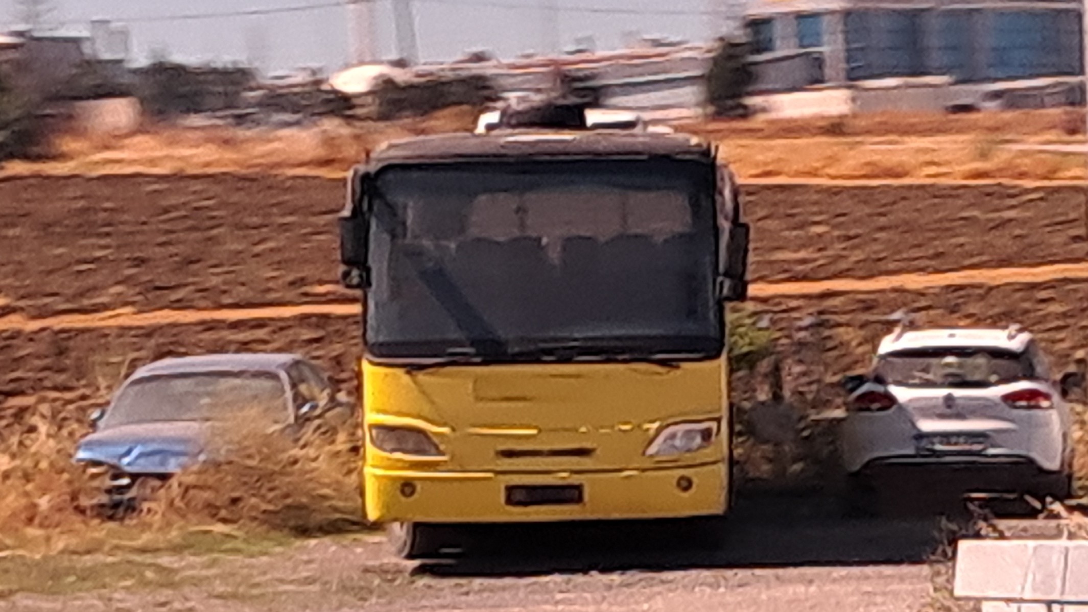 1000026763.jpg