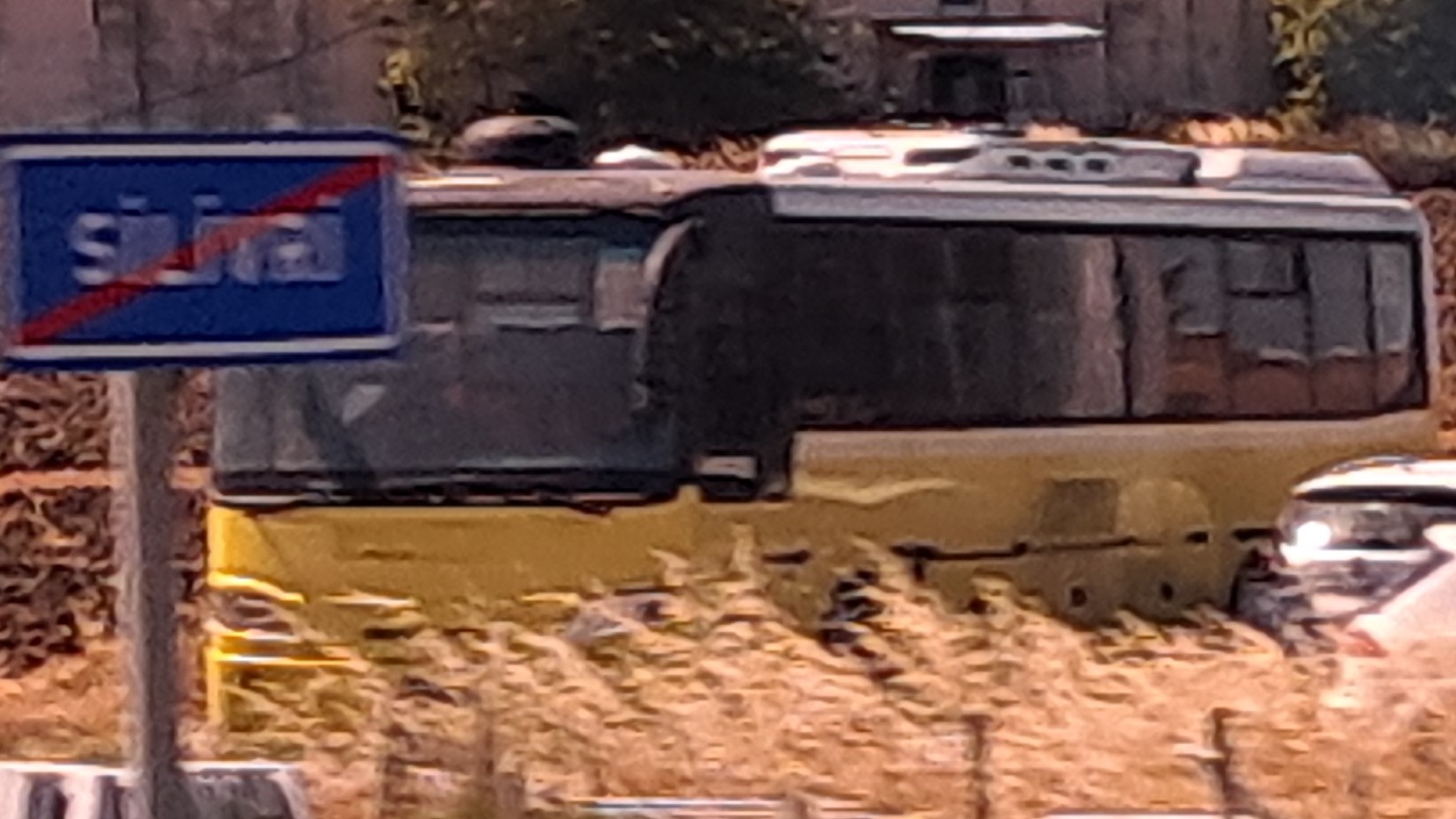 1000026765.jpg