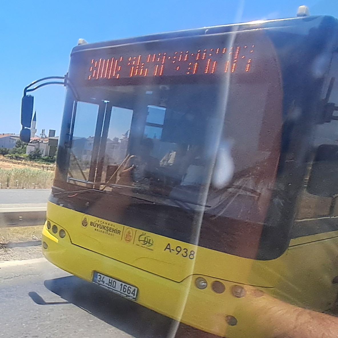 1000026832.jpg