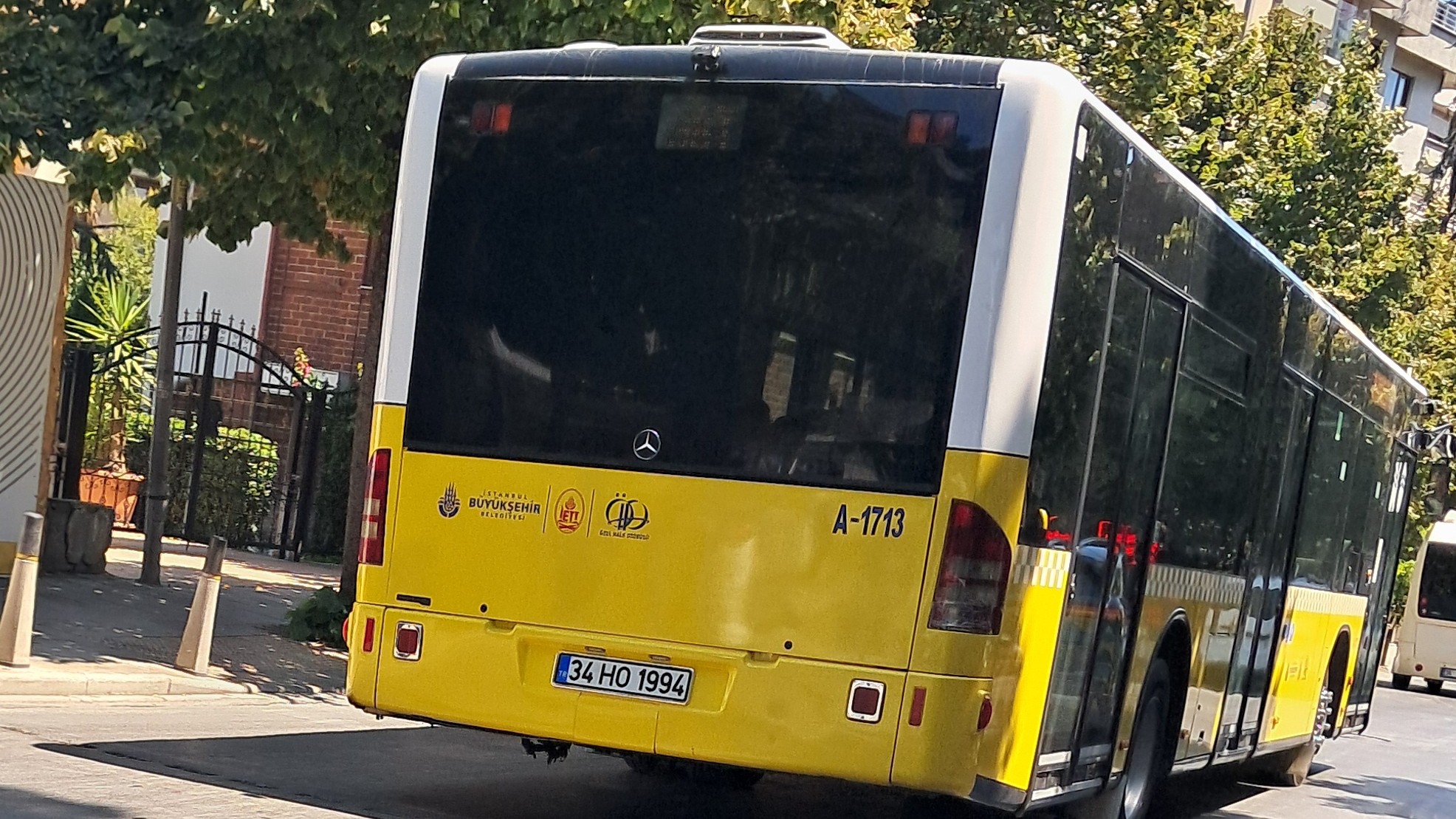 1000027334.jpg