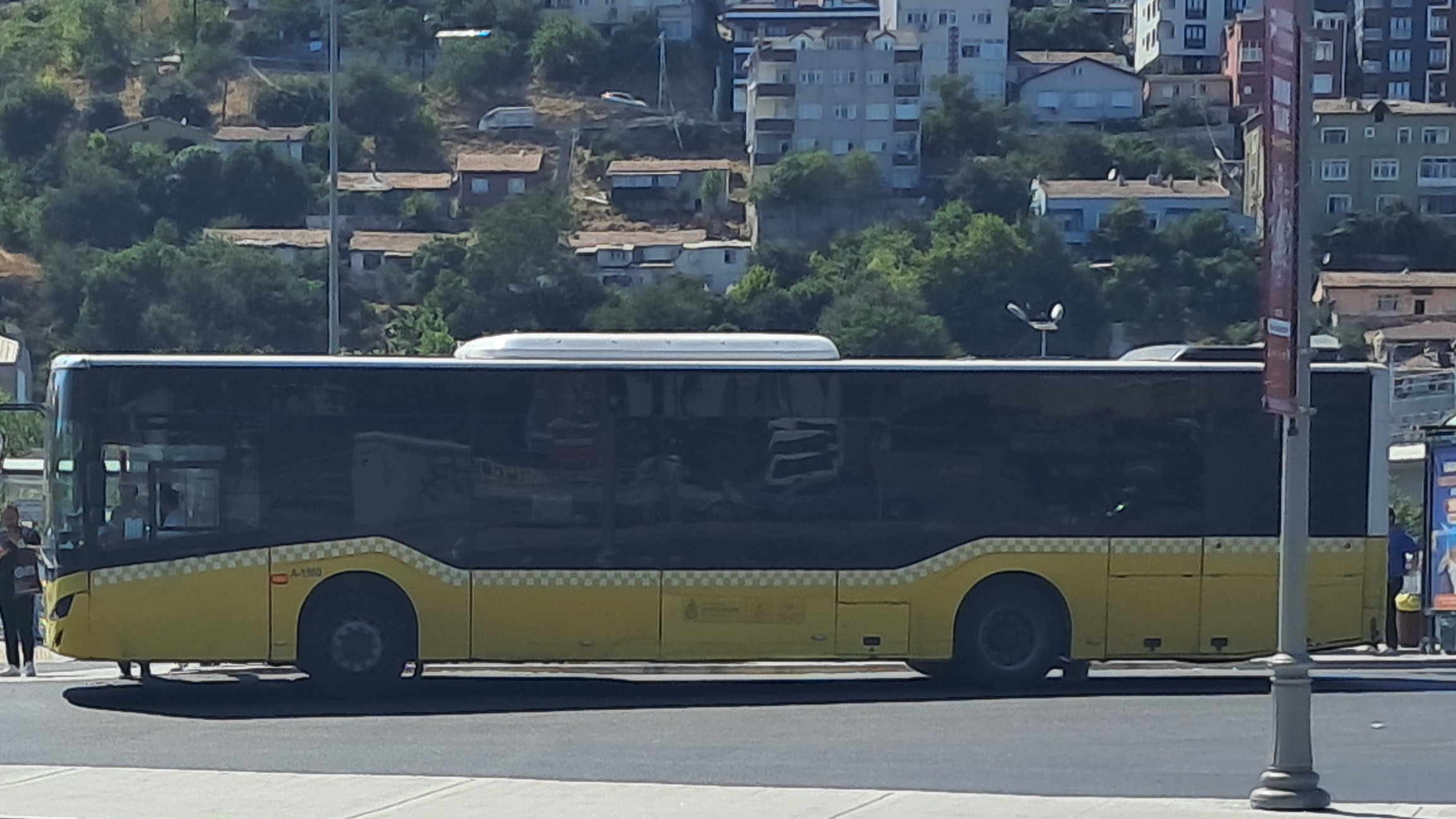 1000027474.jpg