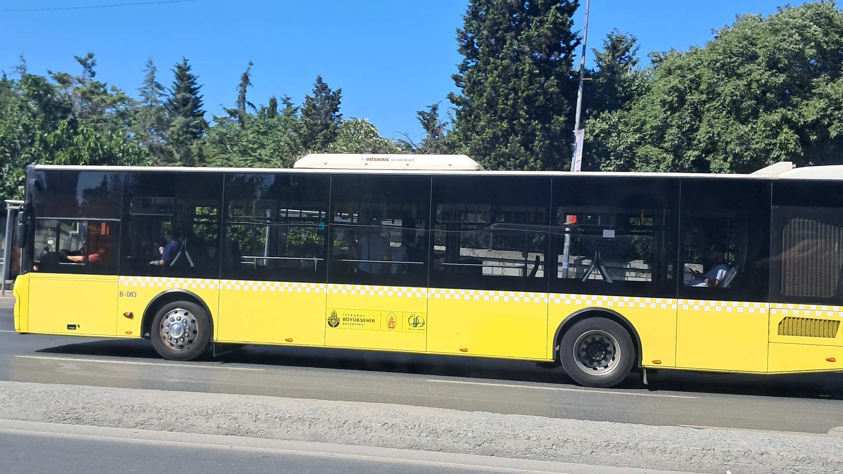 1000027542.jpg