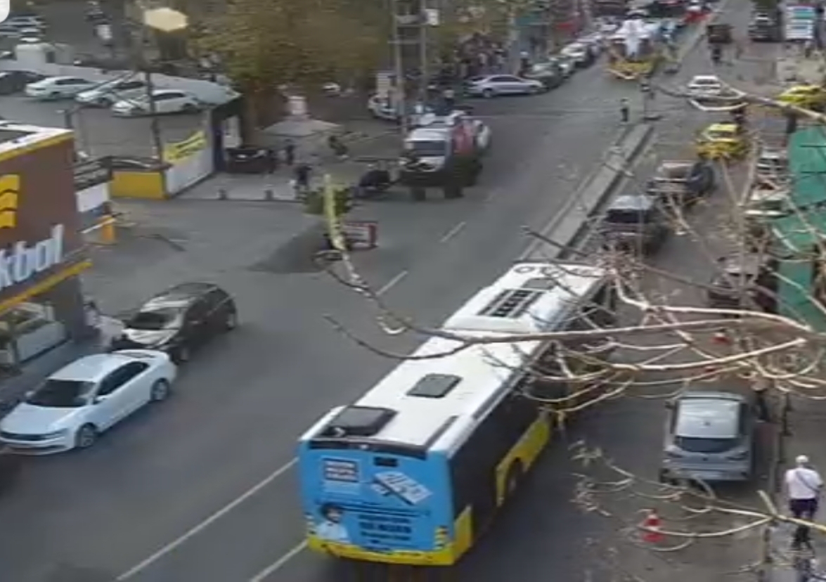 1000028525.jpg 1000028525.jpg