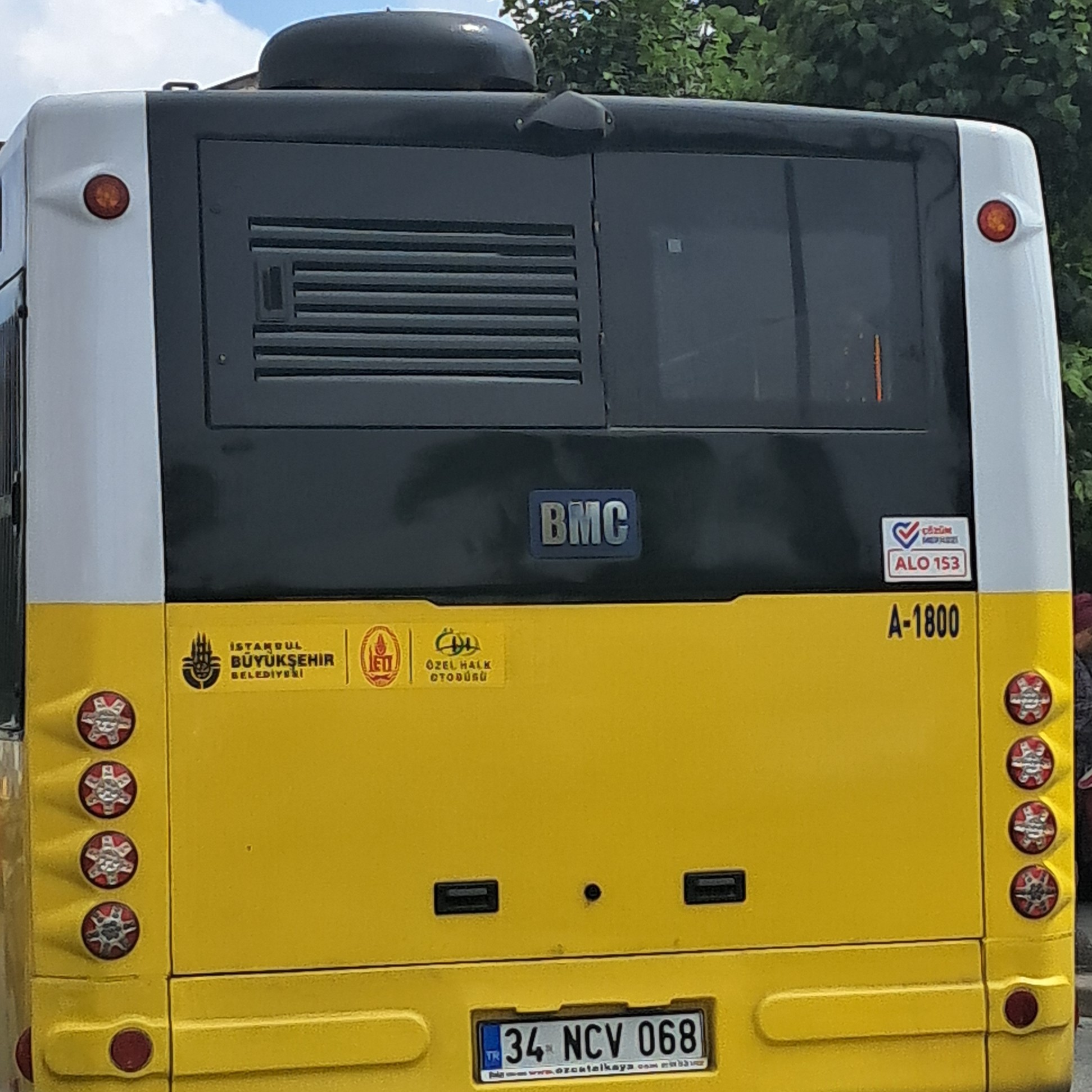 1000029233.jpg