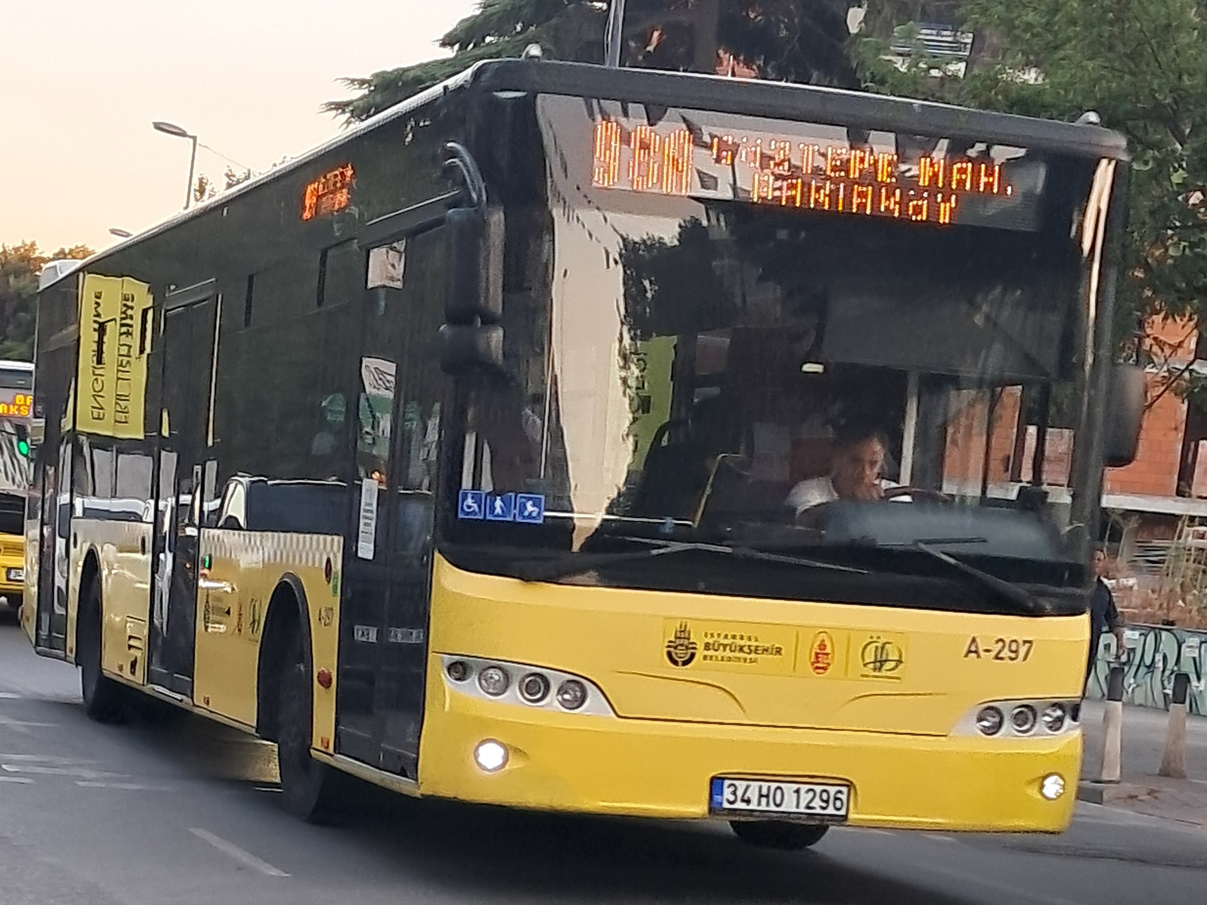 1000029305.jpg