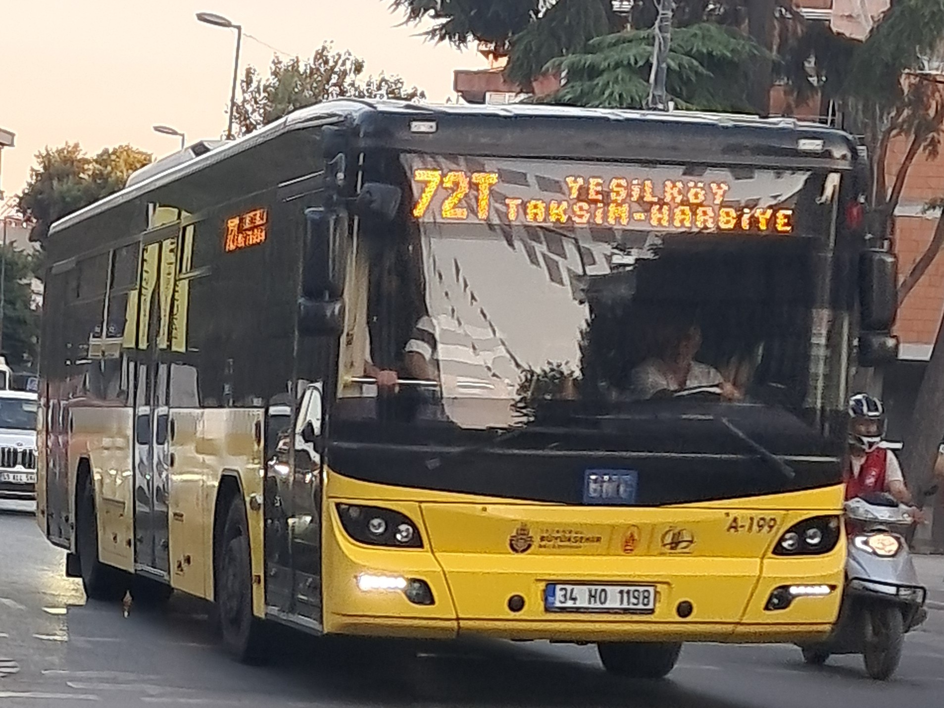 1000029306.jpg
