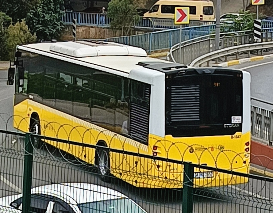 1000029374.jpg