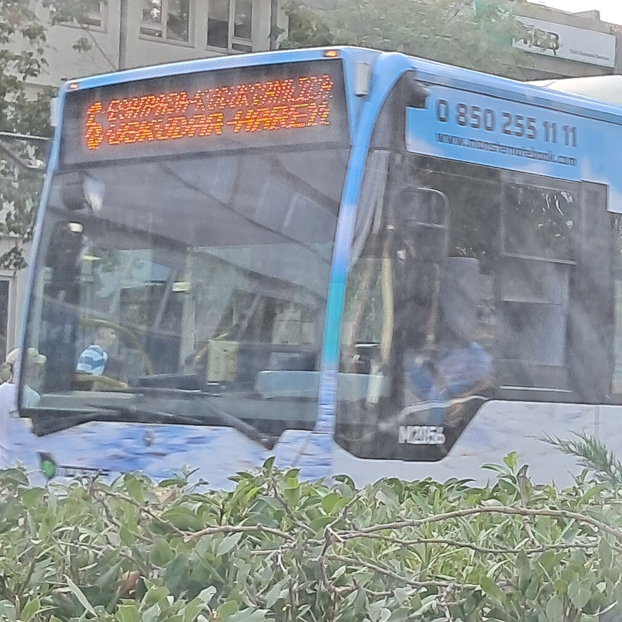 1000030000.jpg