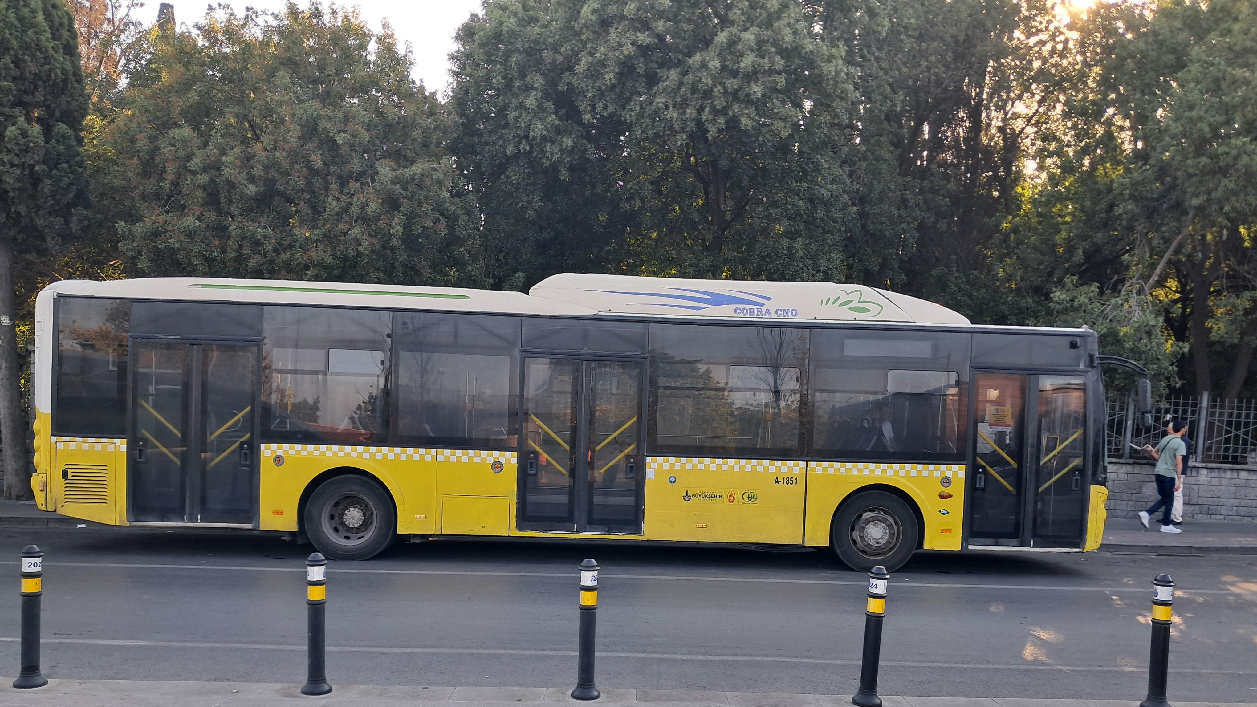 1000030378.jpg