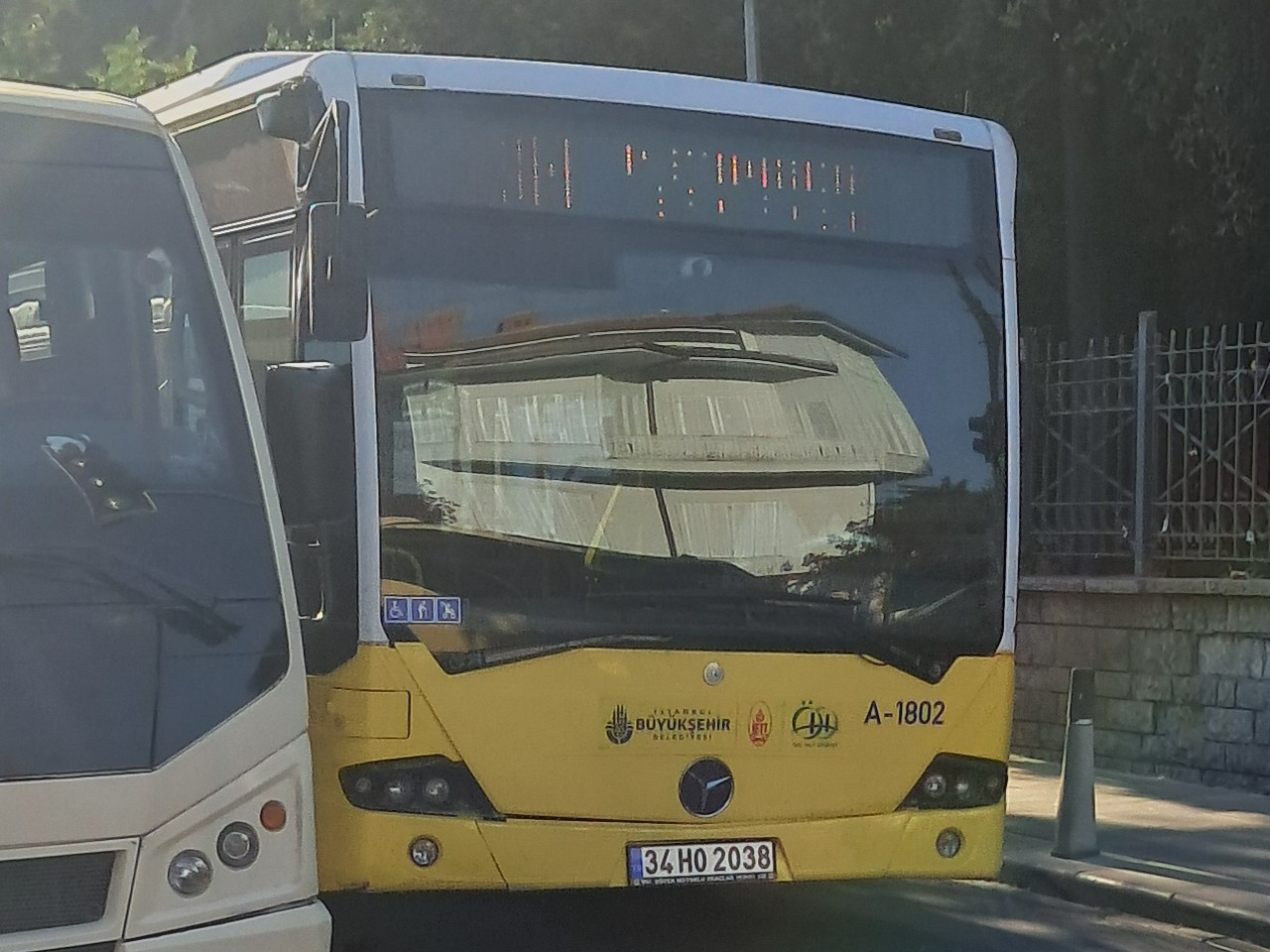 1000030380.jpg