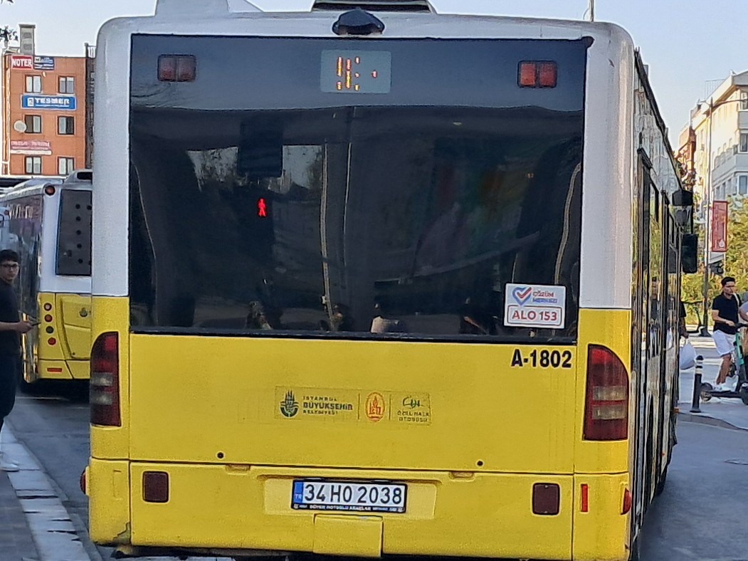 1000030381.jpg