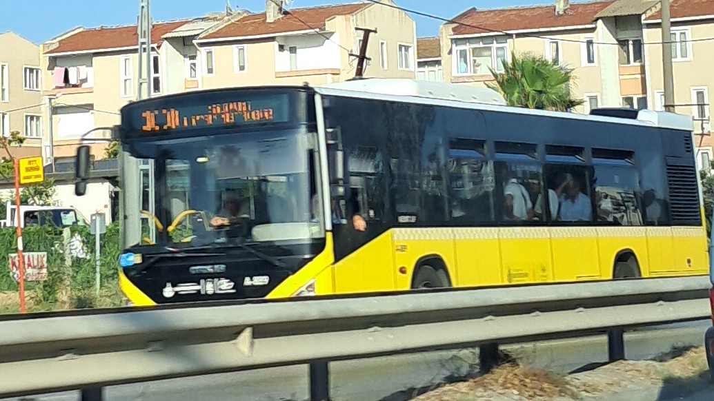 1000031050.jpg