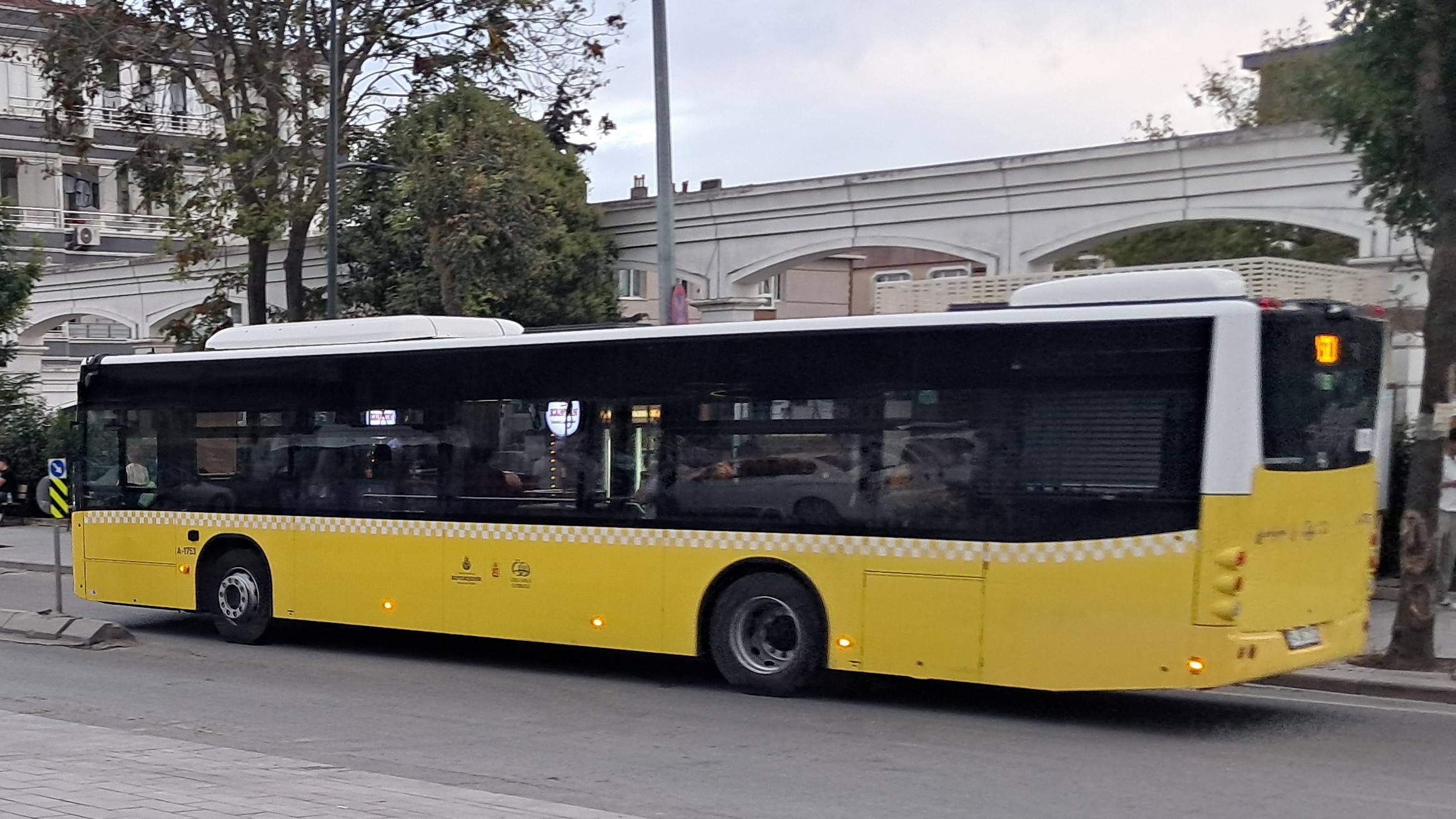 1000031911.jpg