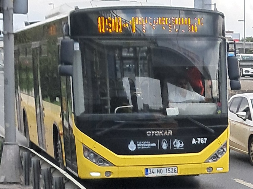 1000031950.jpg