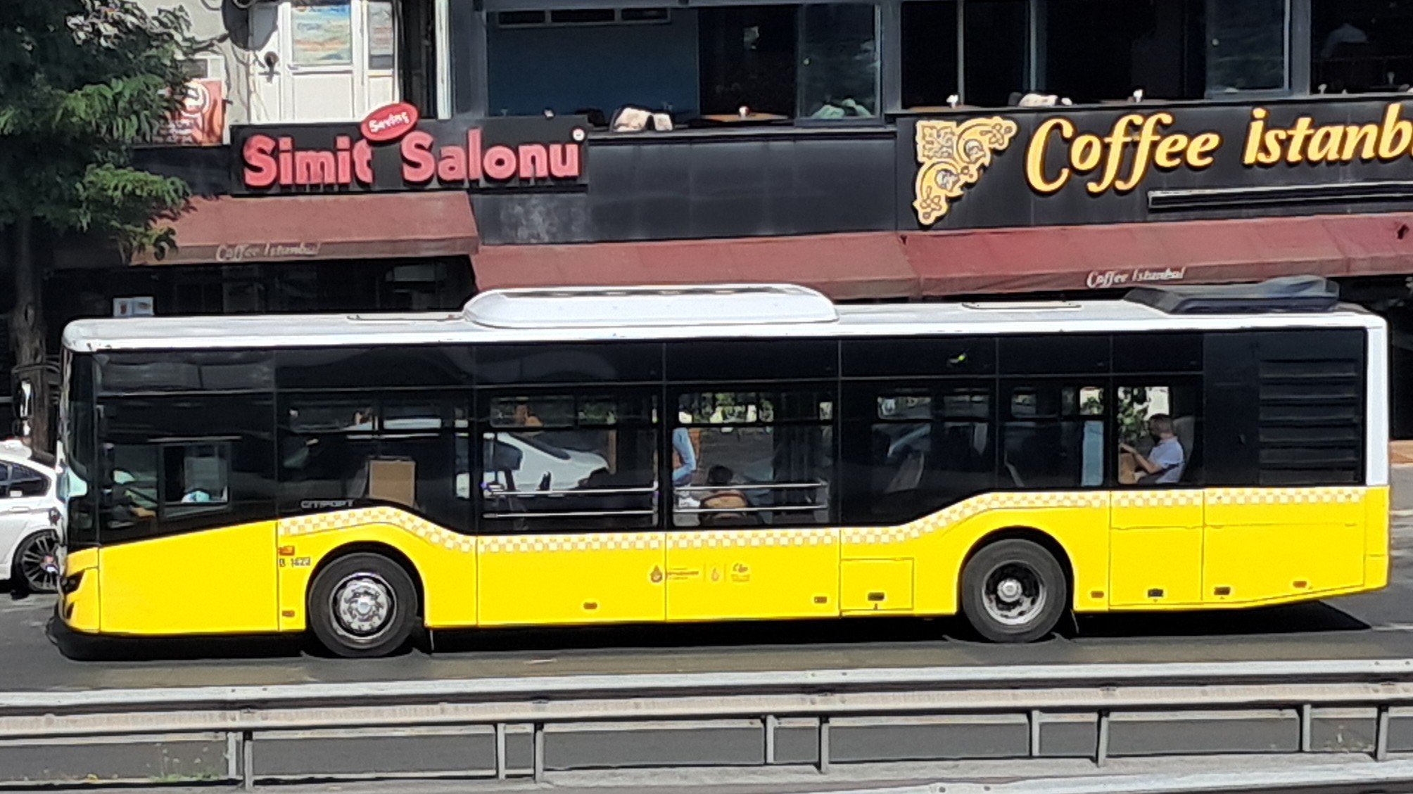 1000032833.jpg