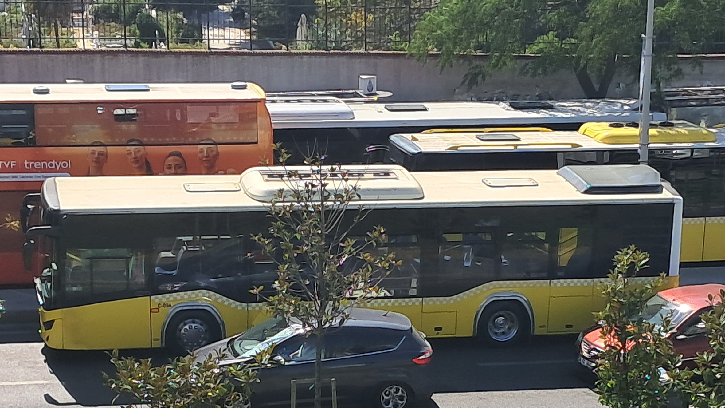 1000032845.jpg