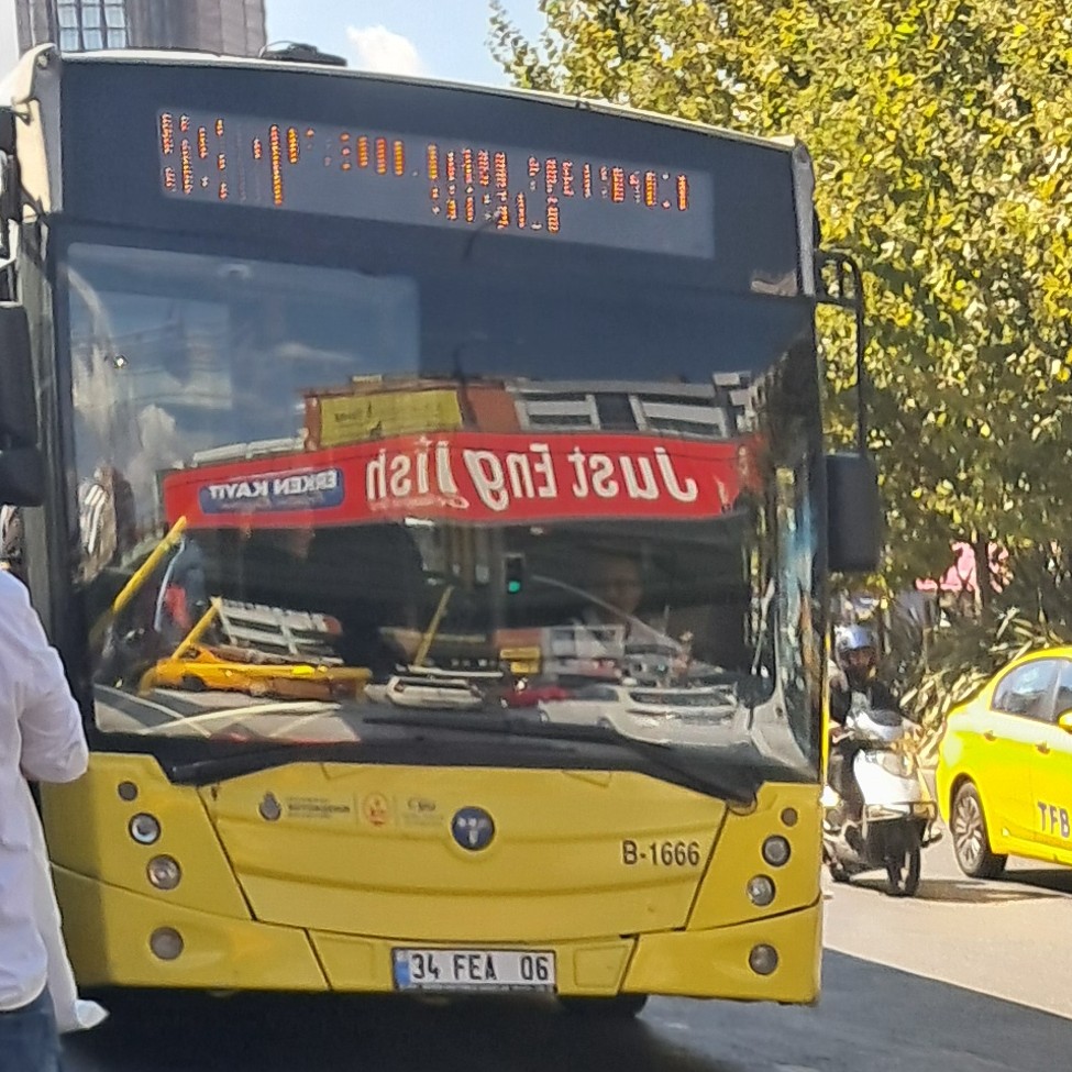 1000032949.jpg