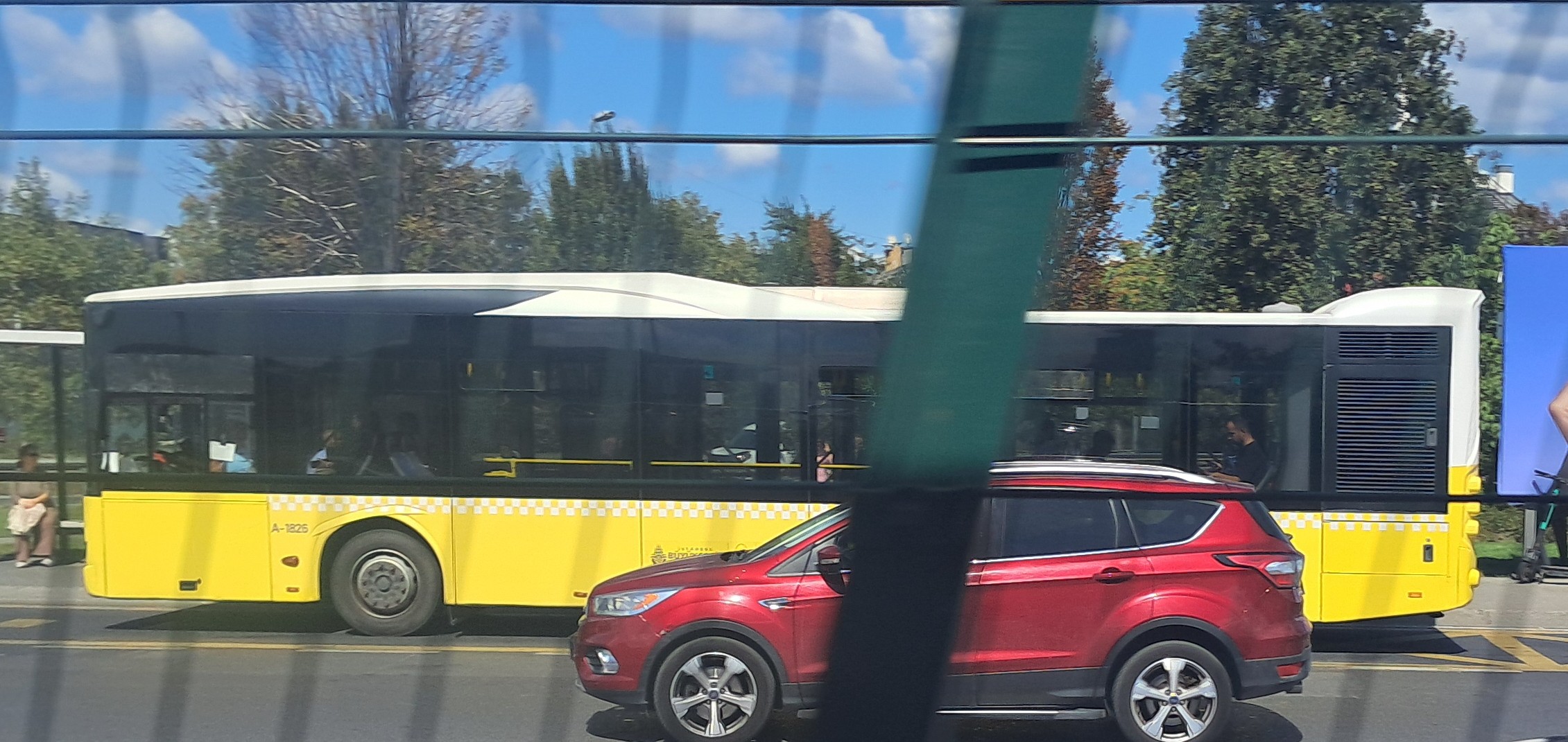 1000032951.jpg