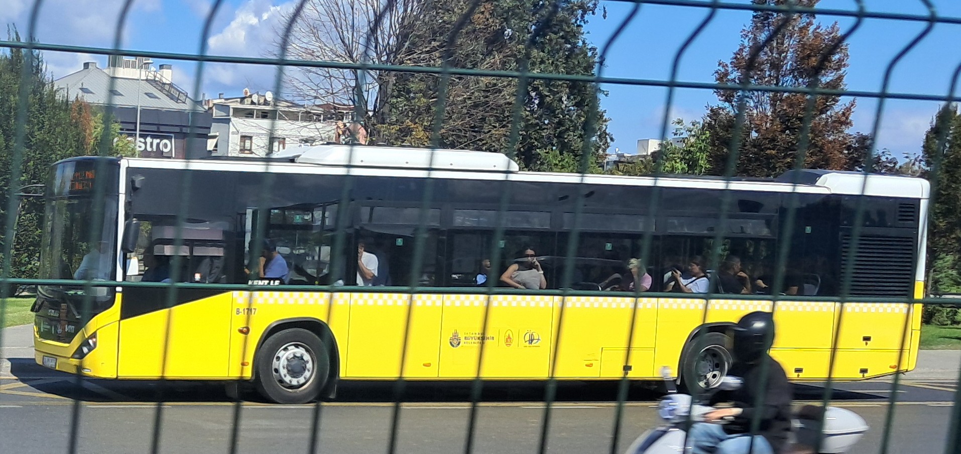 1000032952.jpg