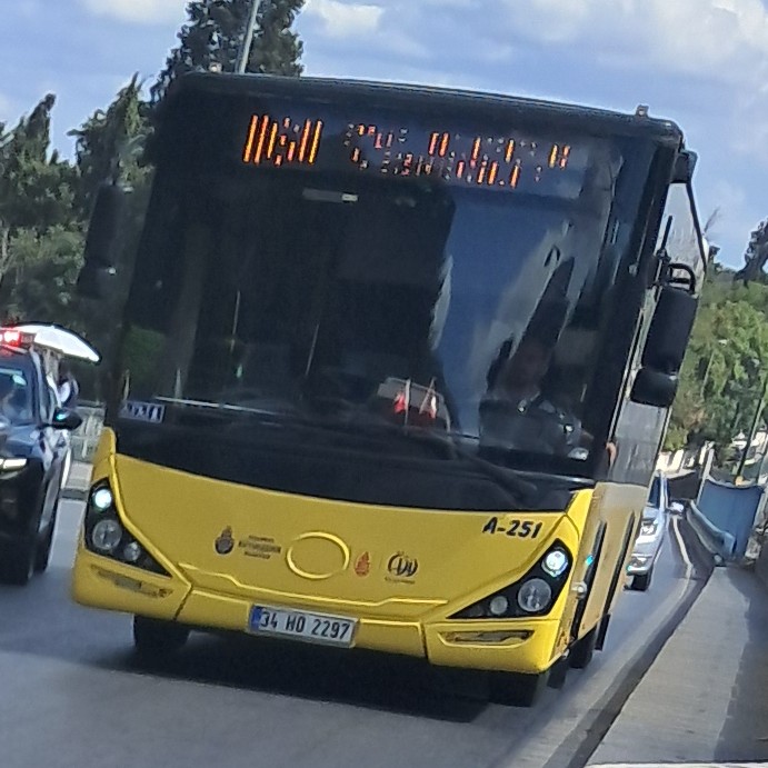 1000032955.jpg