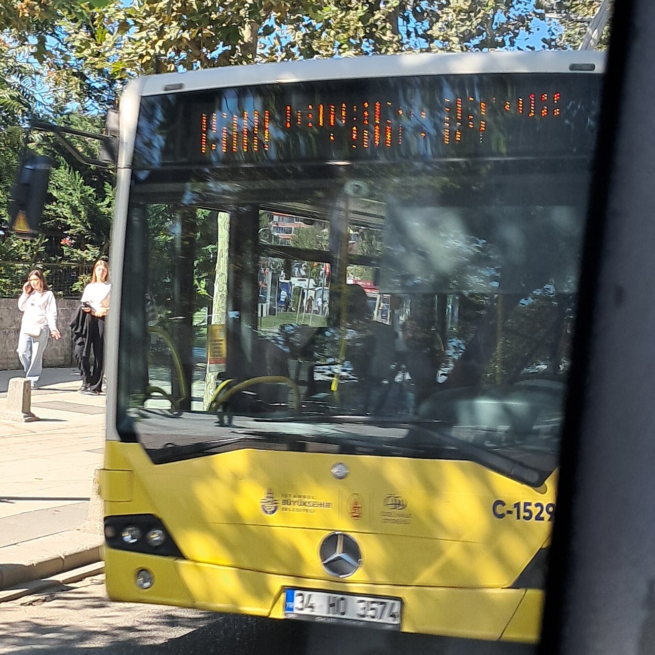 1000033007.jpg