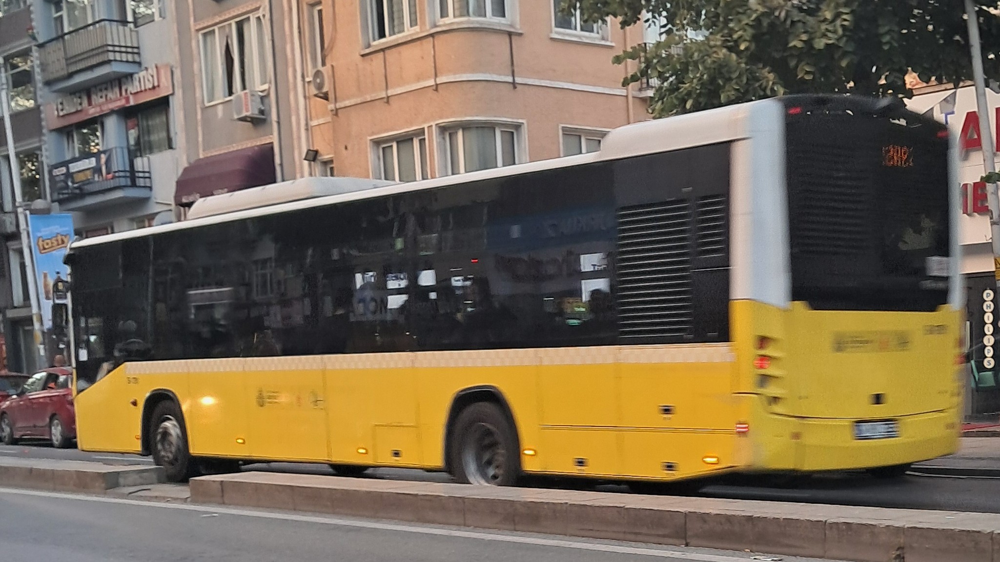 1000033018.jpg