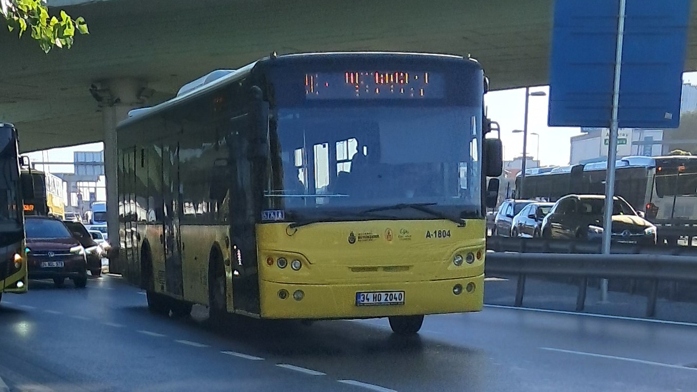 1000033038.jpg