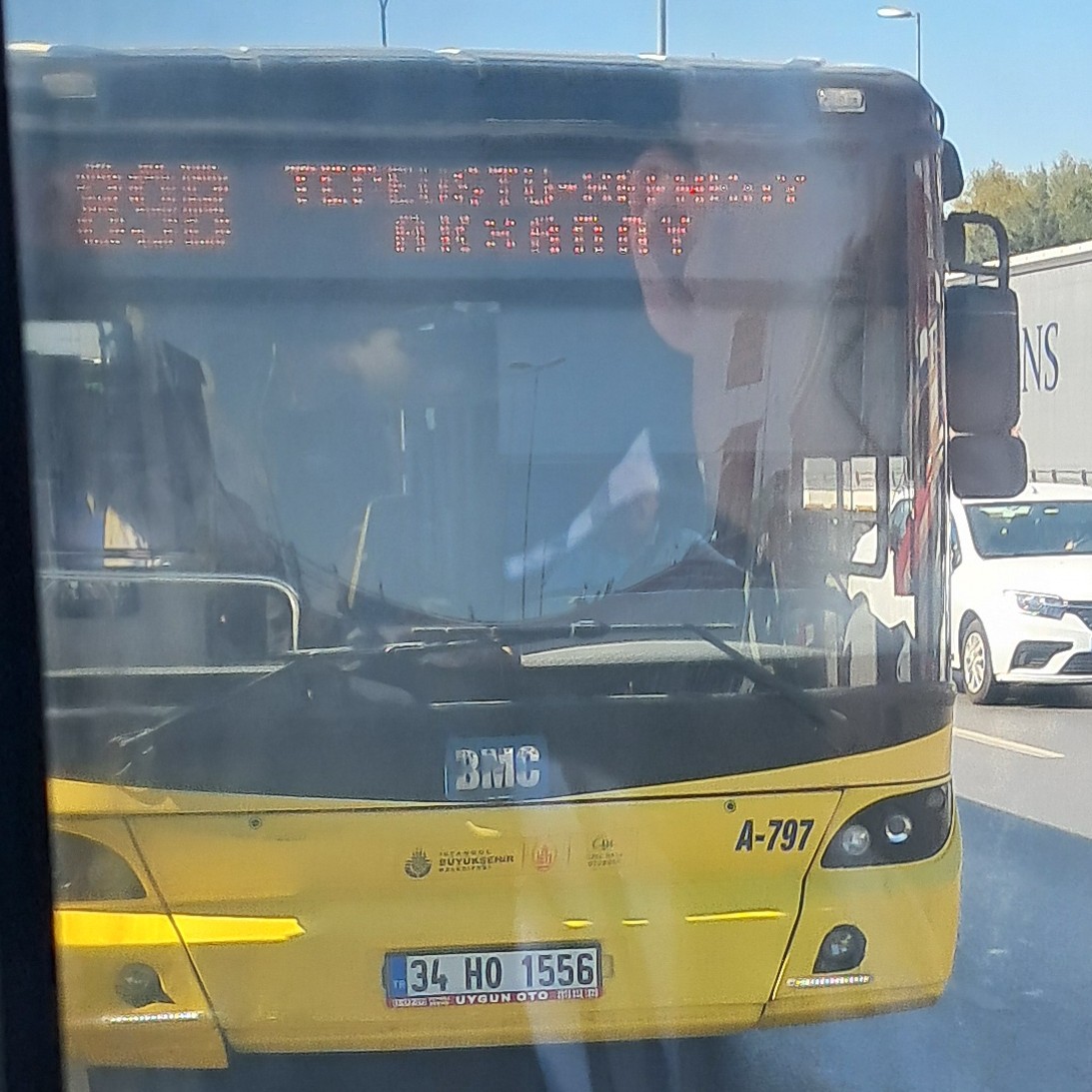 1000033075.jpg