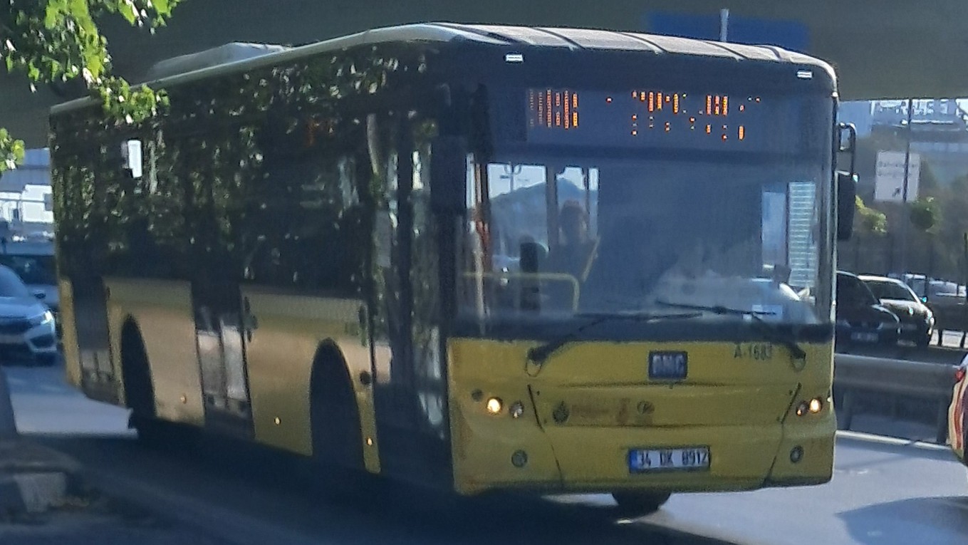 1000033136.jpg