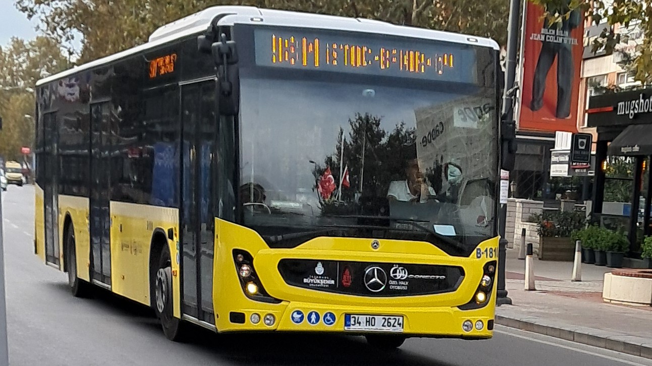 1000033464.jpg