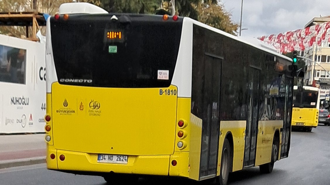 1000033465.jpg