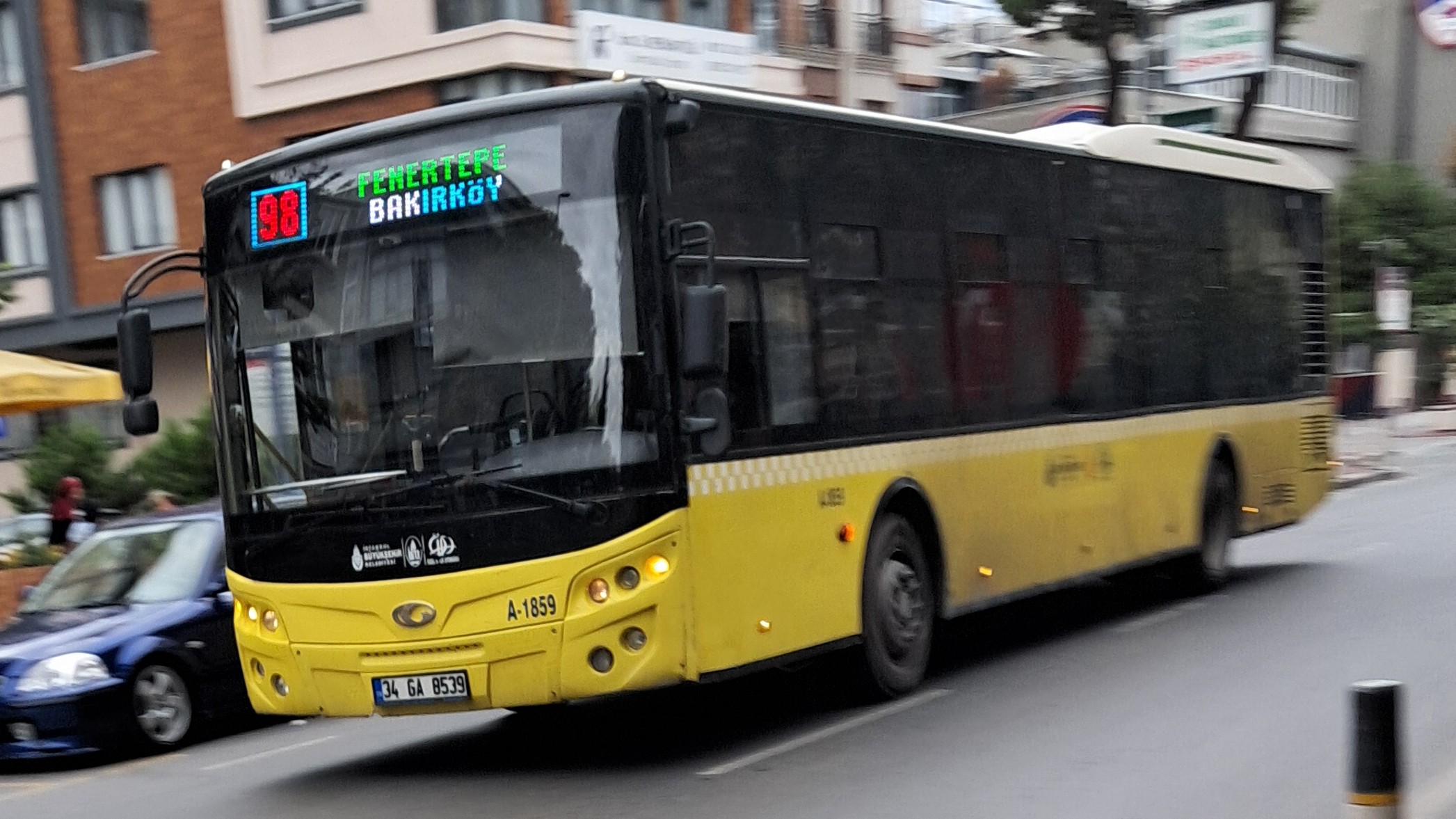 1000033472.jpg