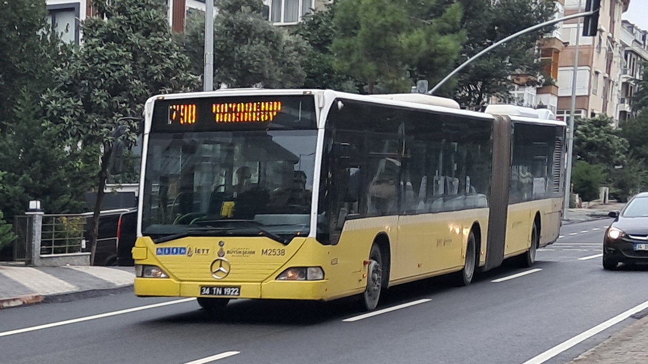 1000033548.jpg