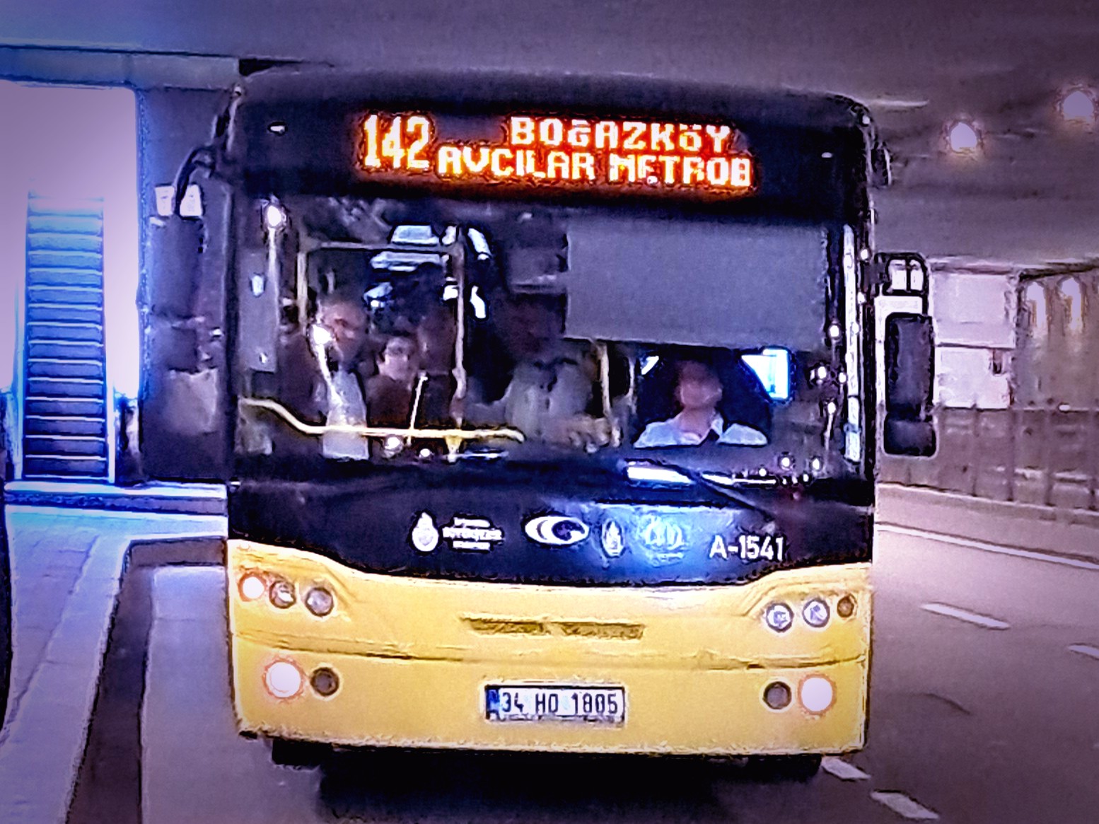 1000033611.jpg