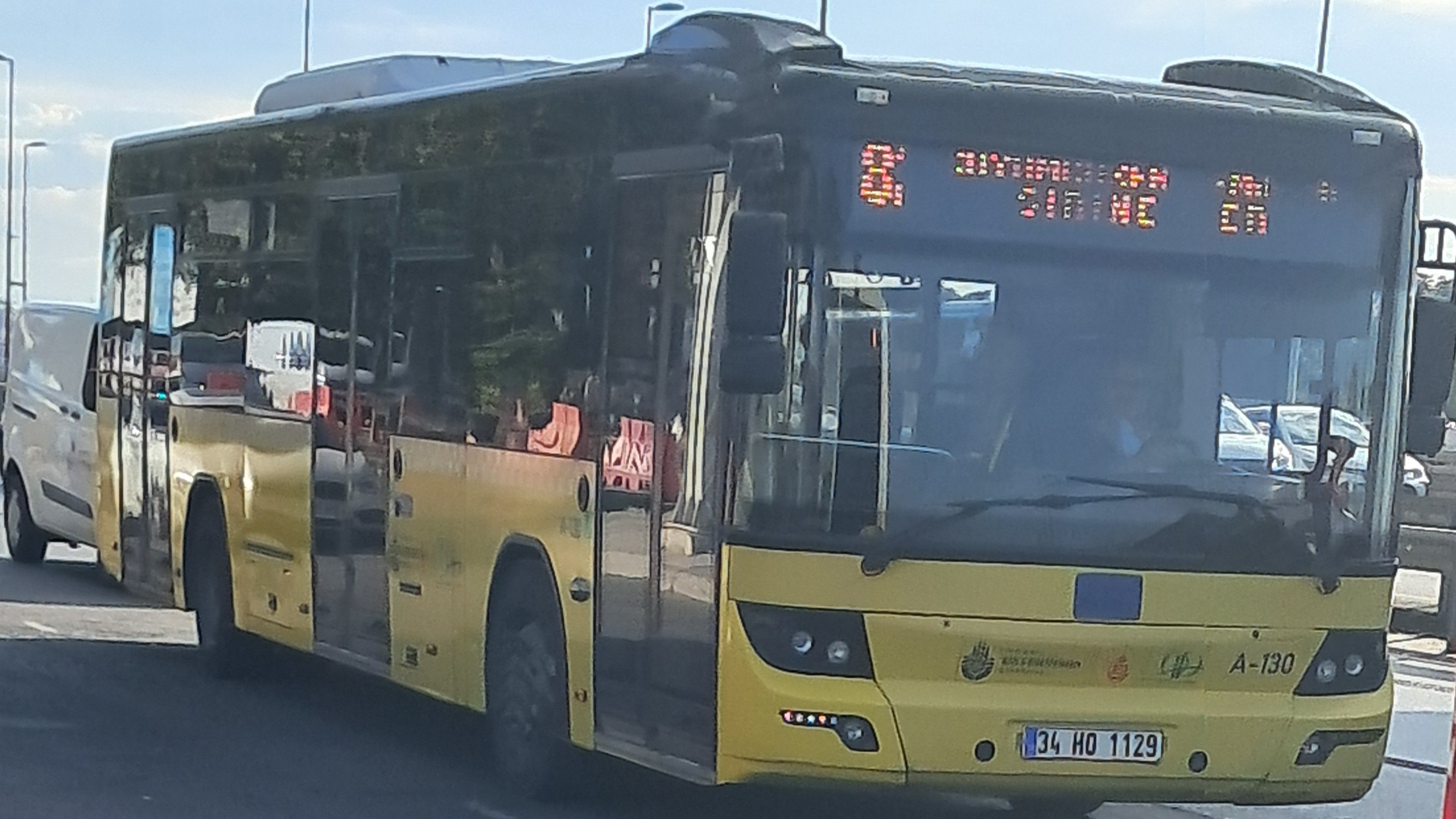 1000033619.jpg