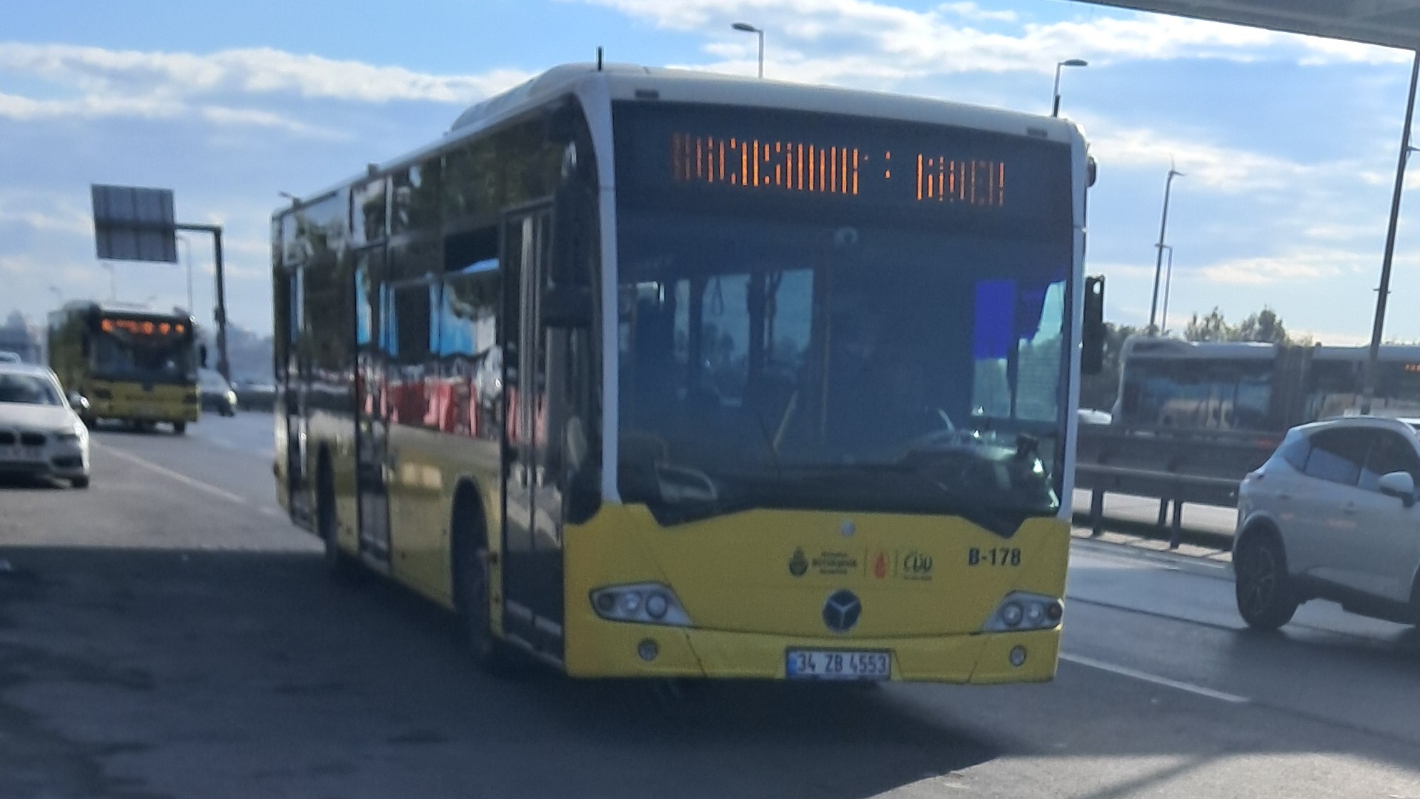 1000033621.jpg