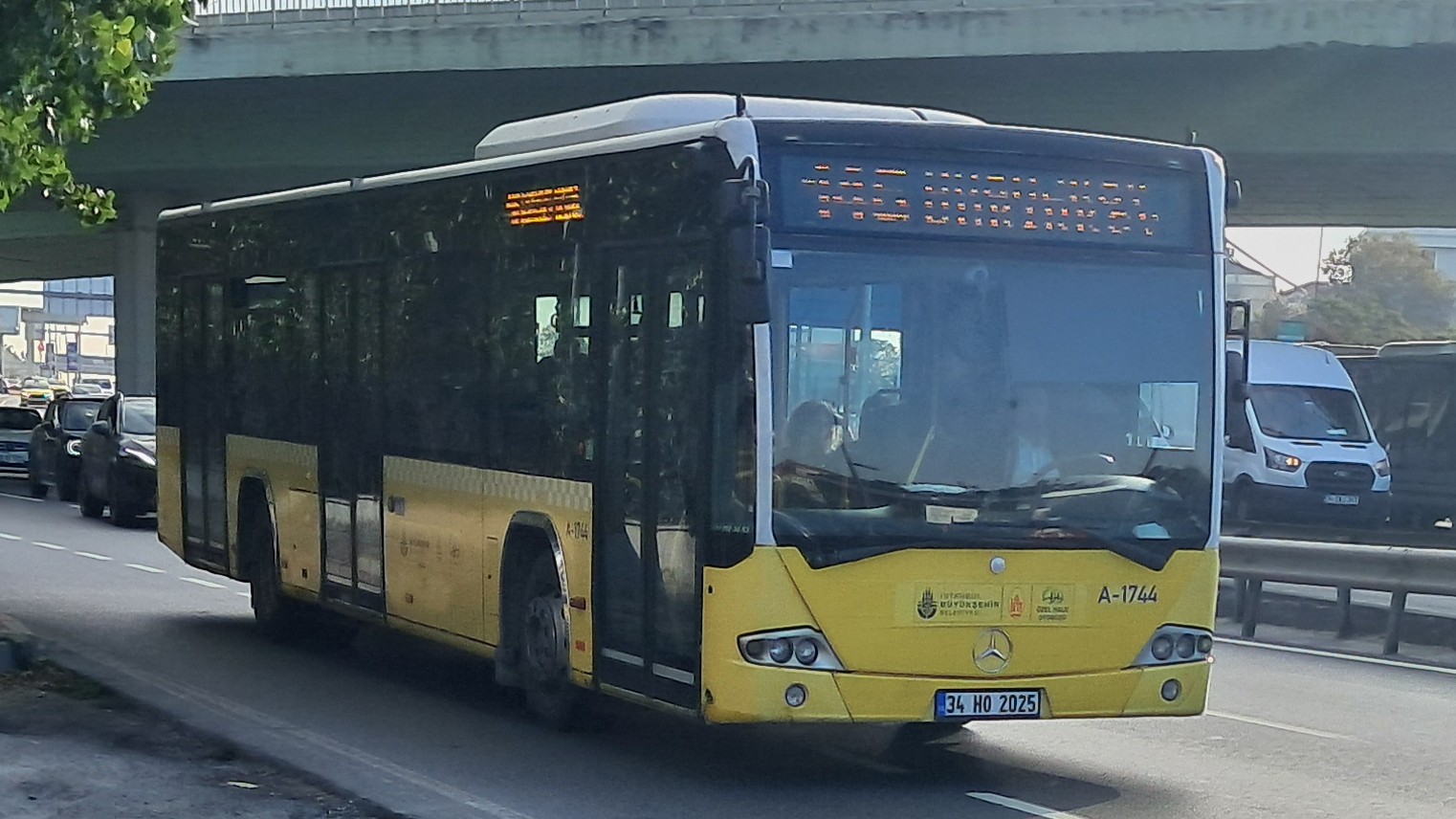 1000033791.jpg