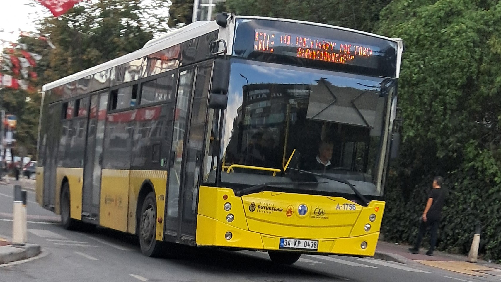 1000033805.jpg