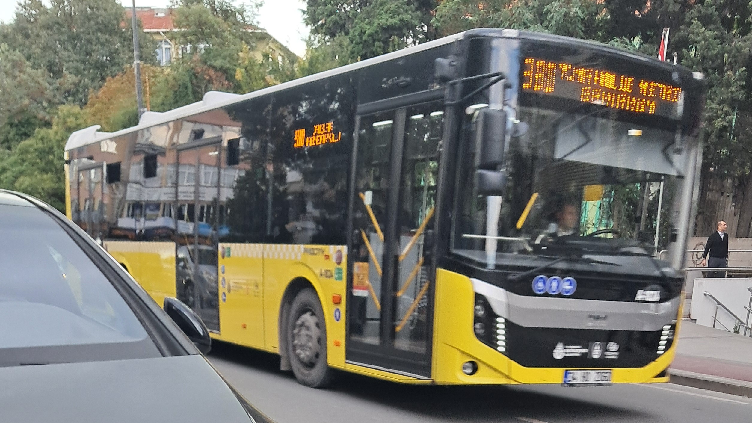 1000033808.jpg
