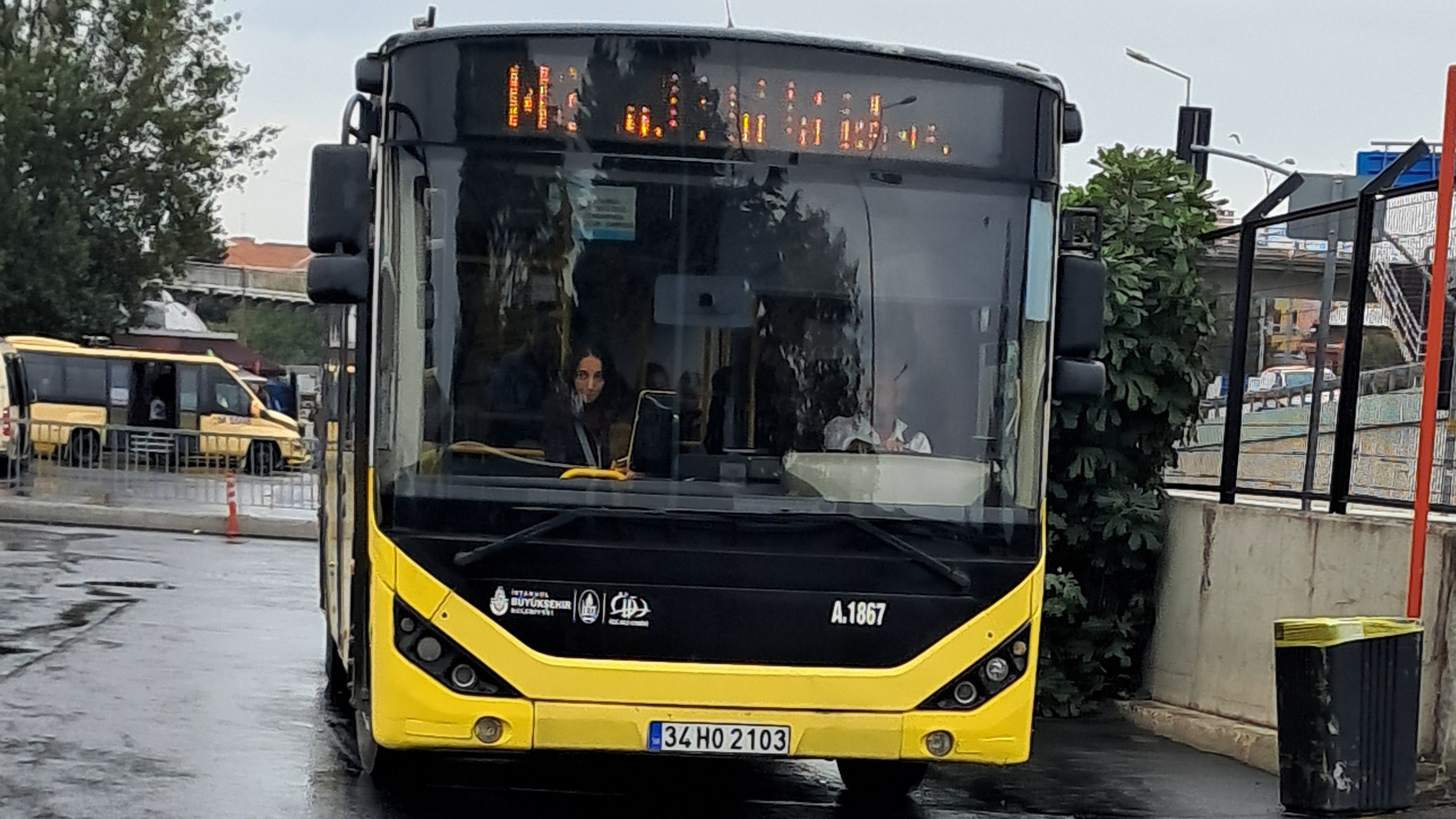 1000033965.jpg
