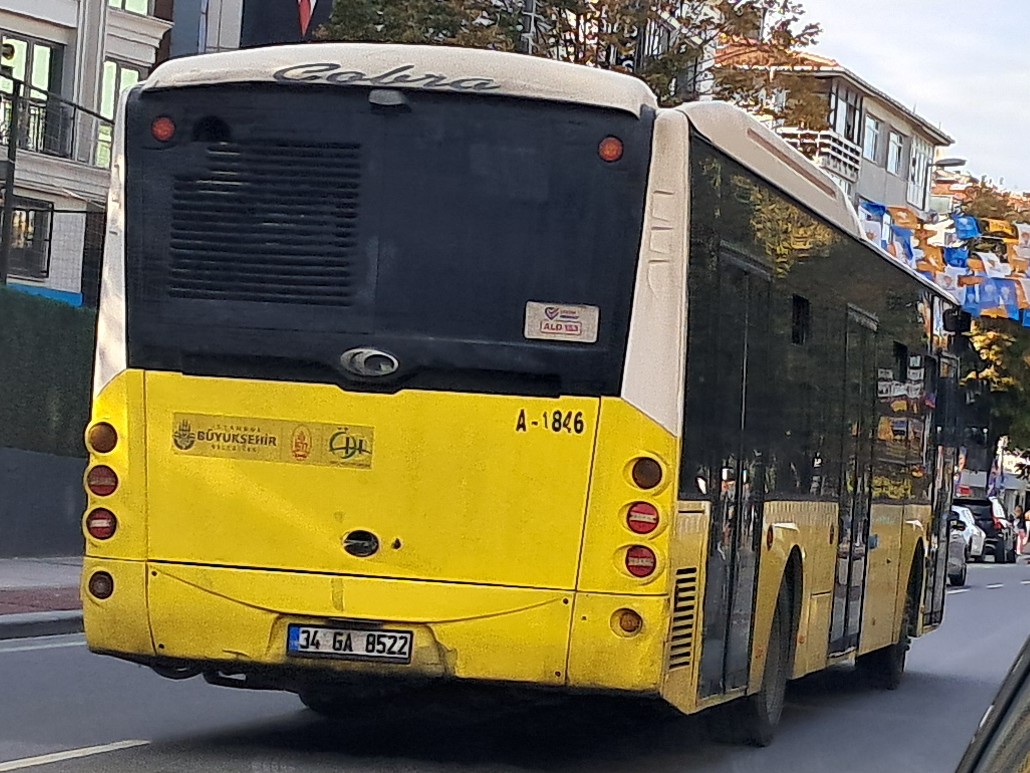1000034177.jpg