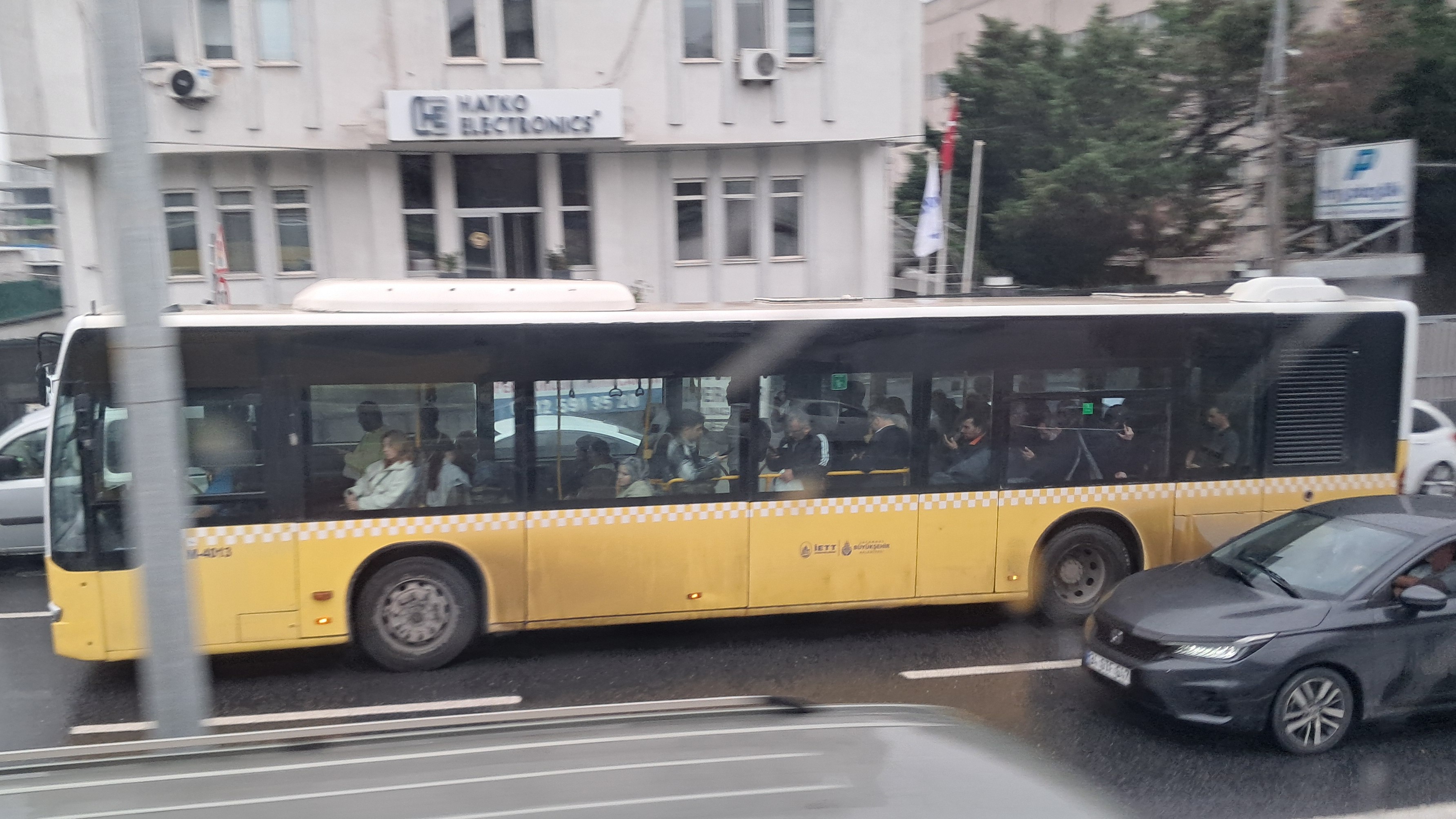 1000034236.jpg